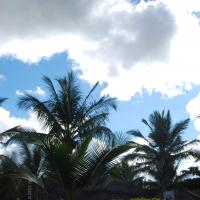 20101005_Photo_1152_DSC_7240_CMP_WM