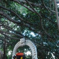 20101005_Photo_1159_DSC_7318_CMP_WM