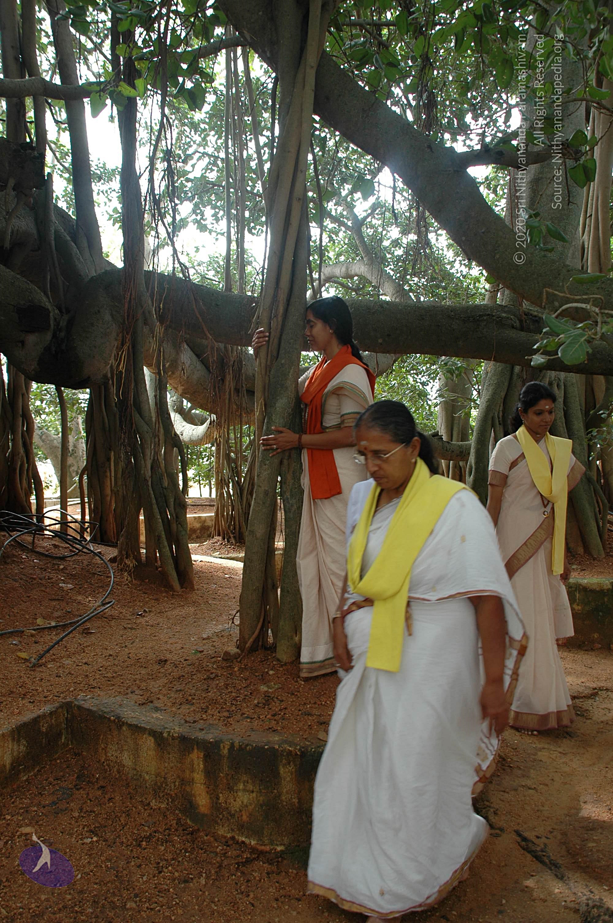 20101005_Photo_1161_DSC_7817_CMP_WM