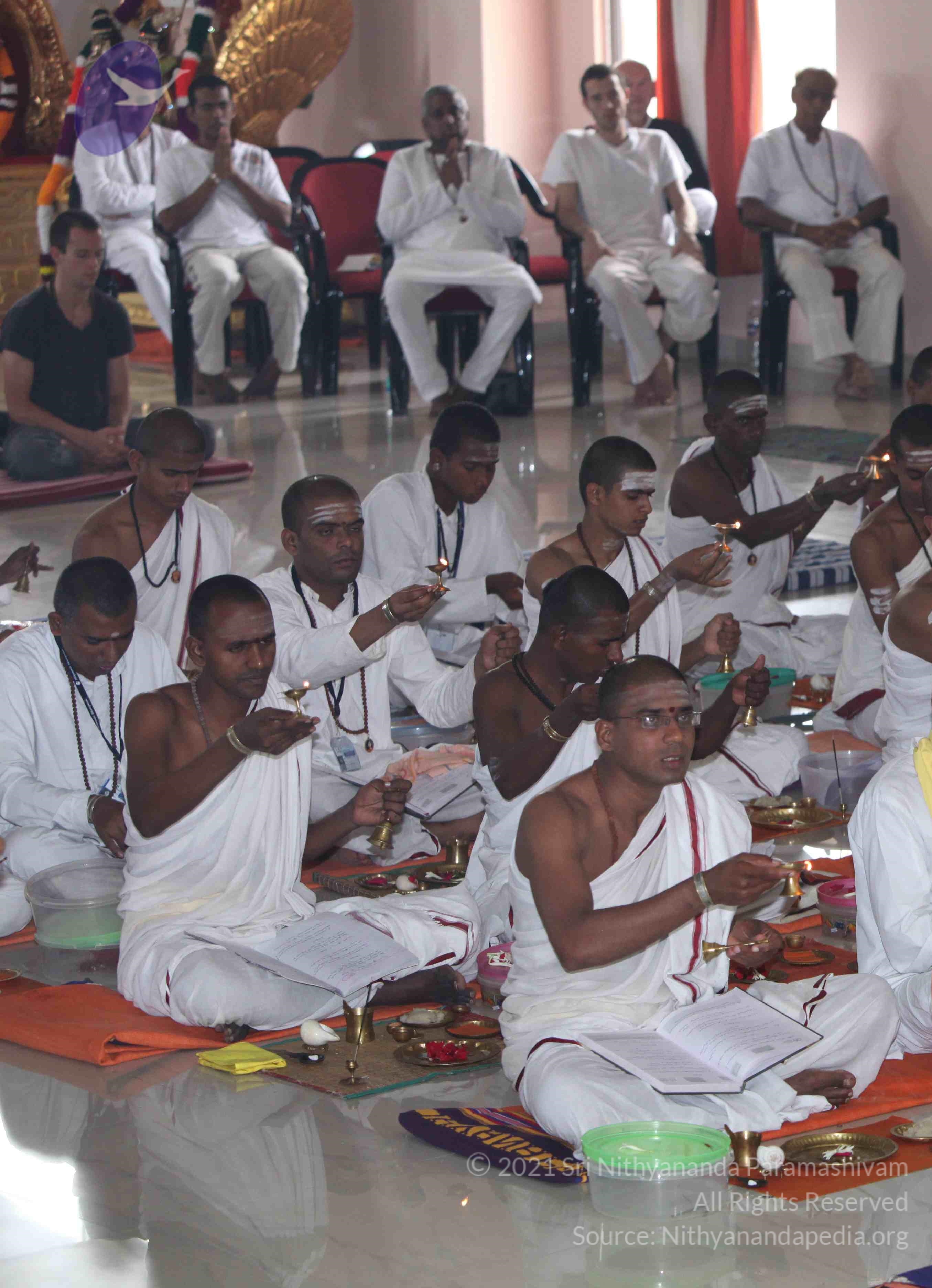 IMG_4775_CMP_WM Done