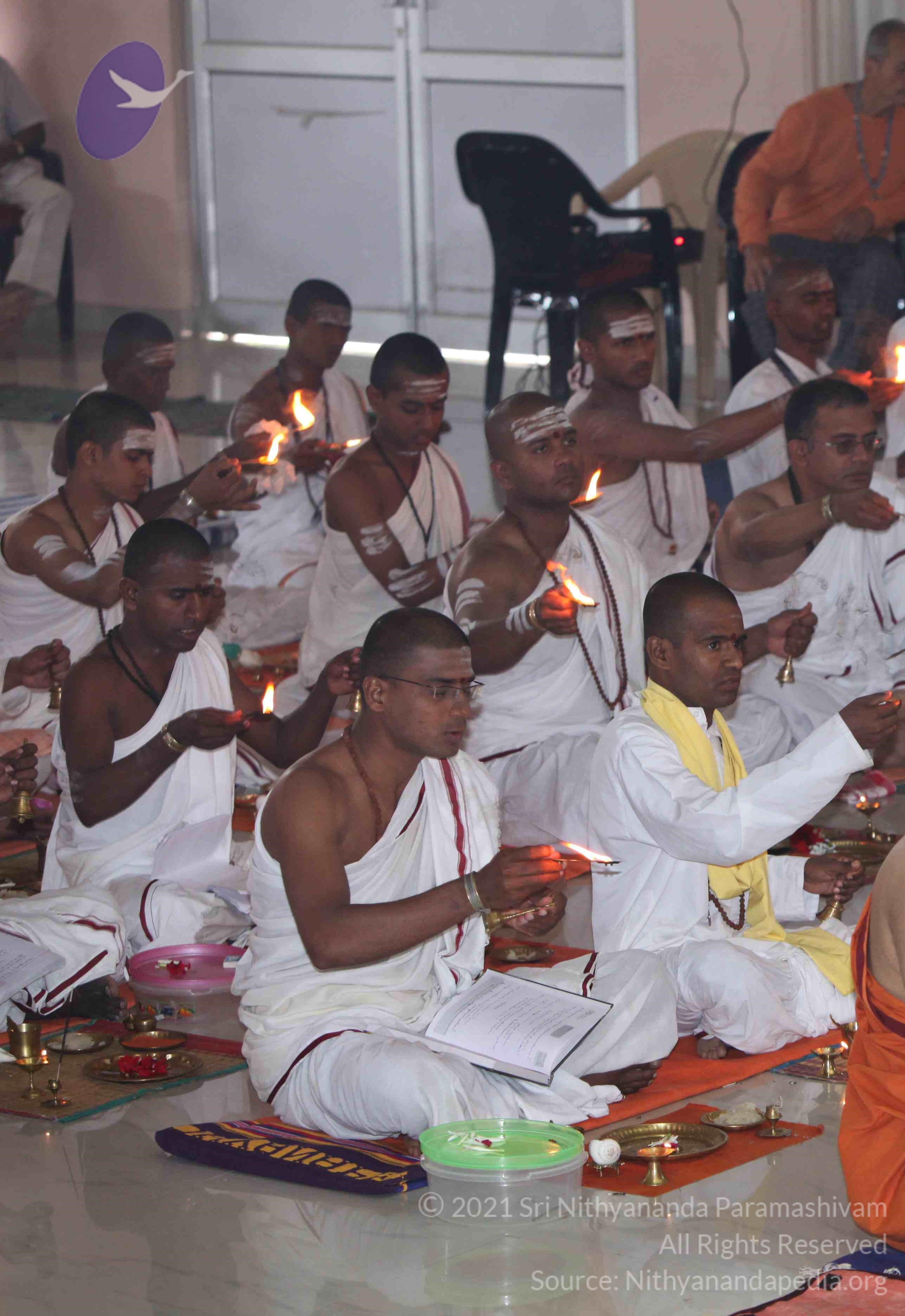 IMG_4784_CMP_WM Done