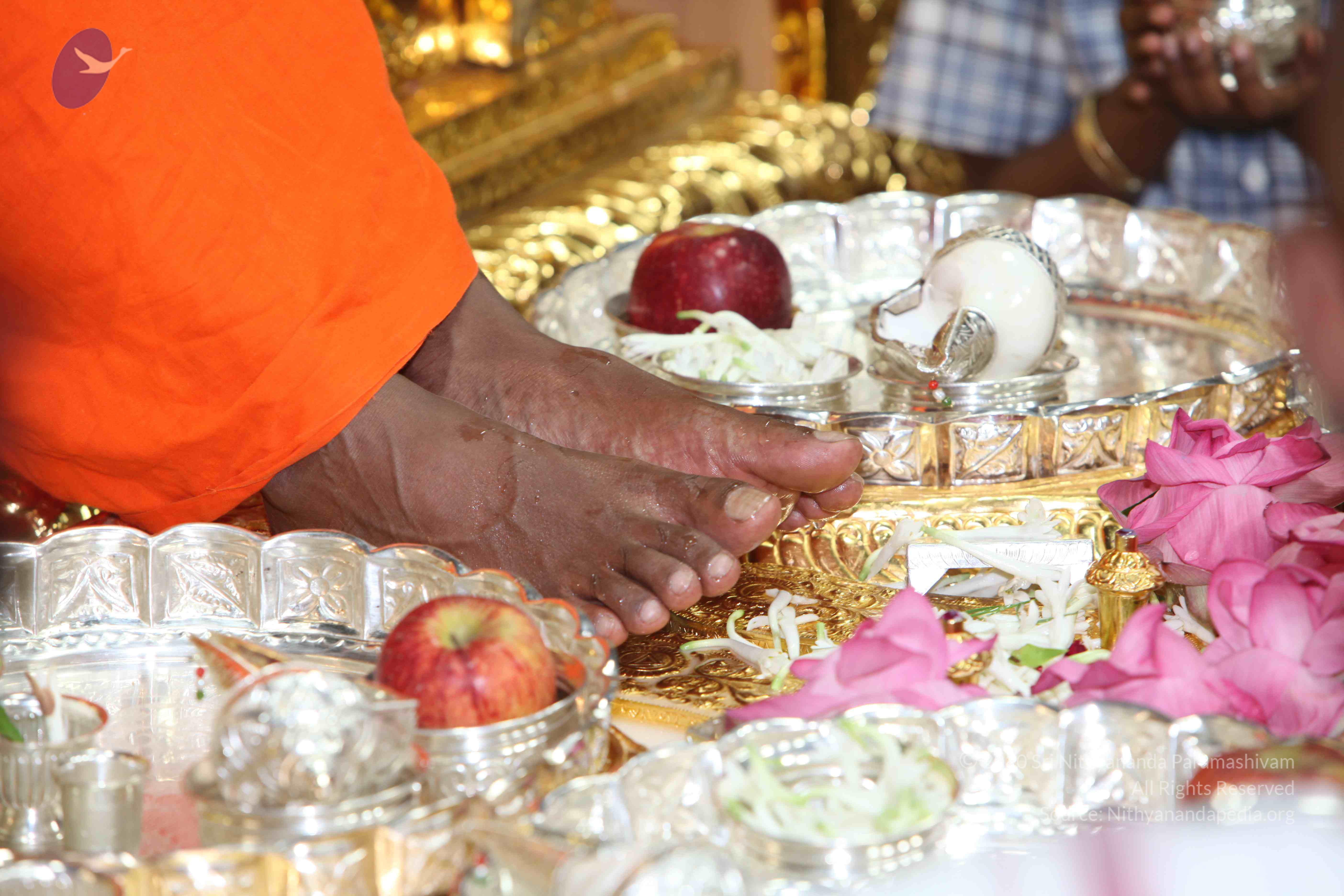 20101019_Photo_1005_IMG_2607_CMP_WM