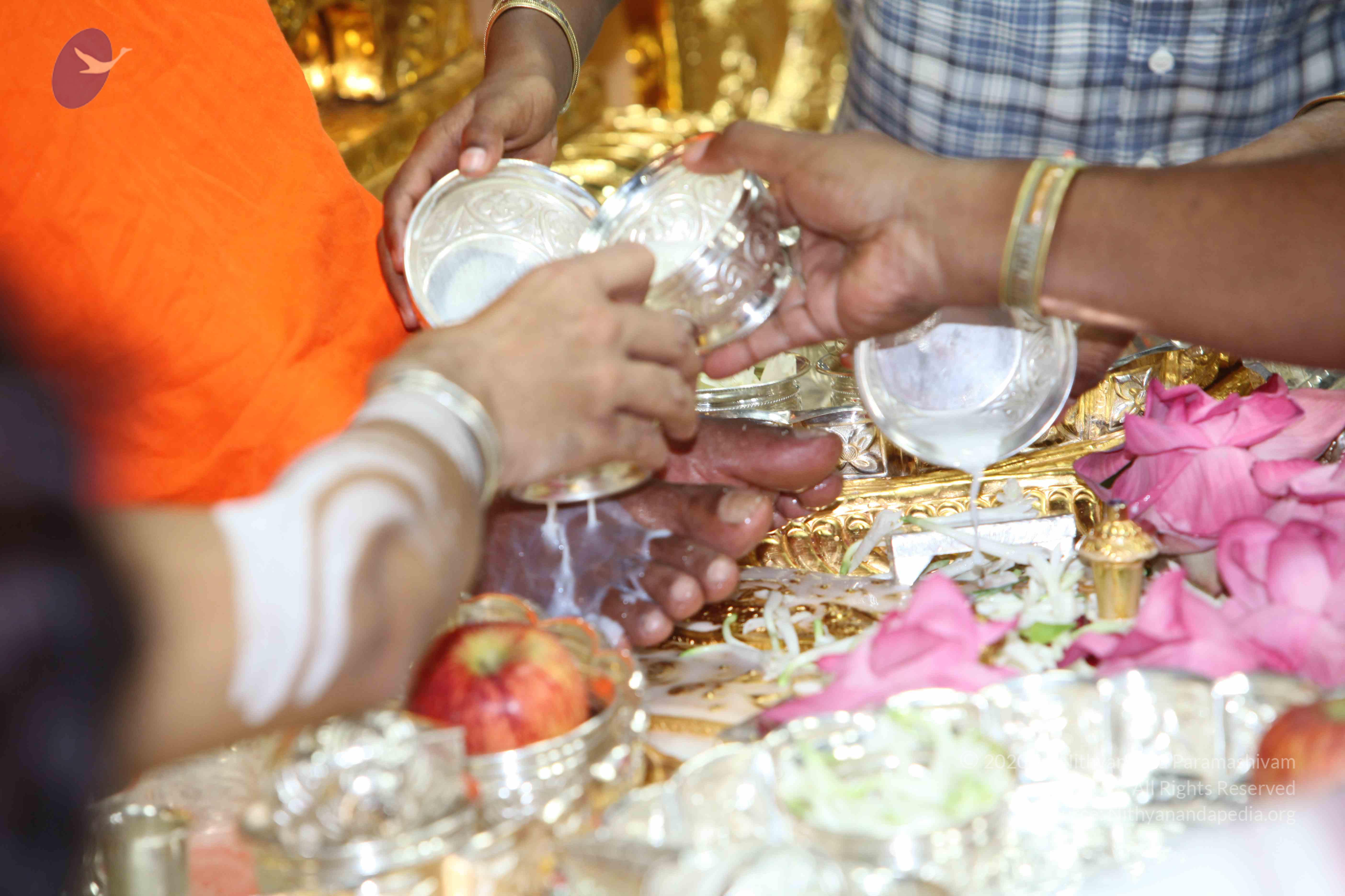 20101019_Photo_1011_IMG_2616_CMP_WM