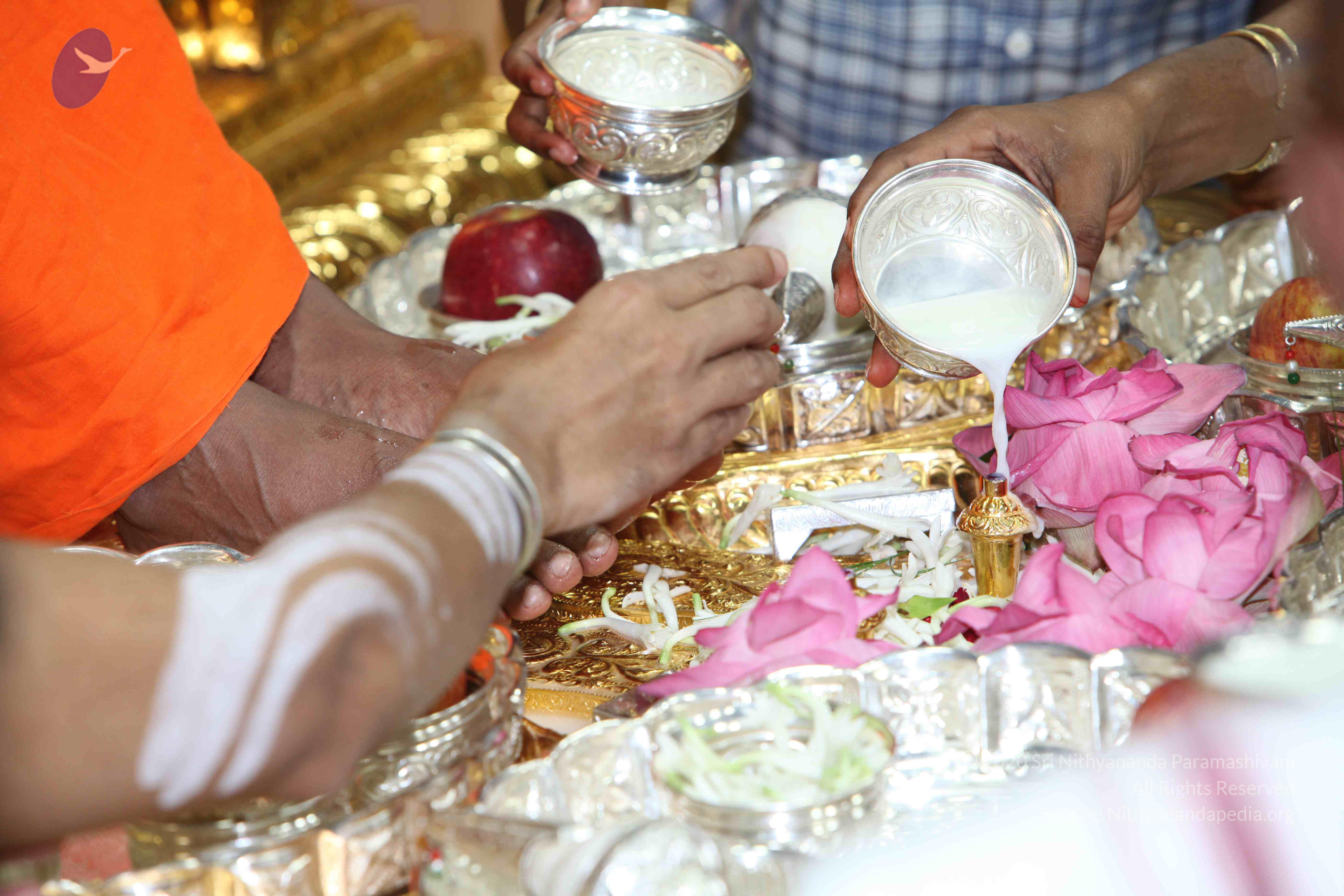 20101019_Photo_1021_IMG_2613_CMP_WM