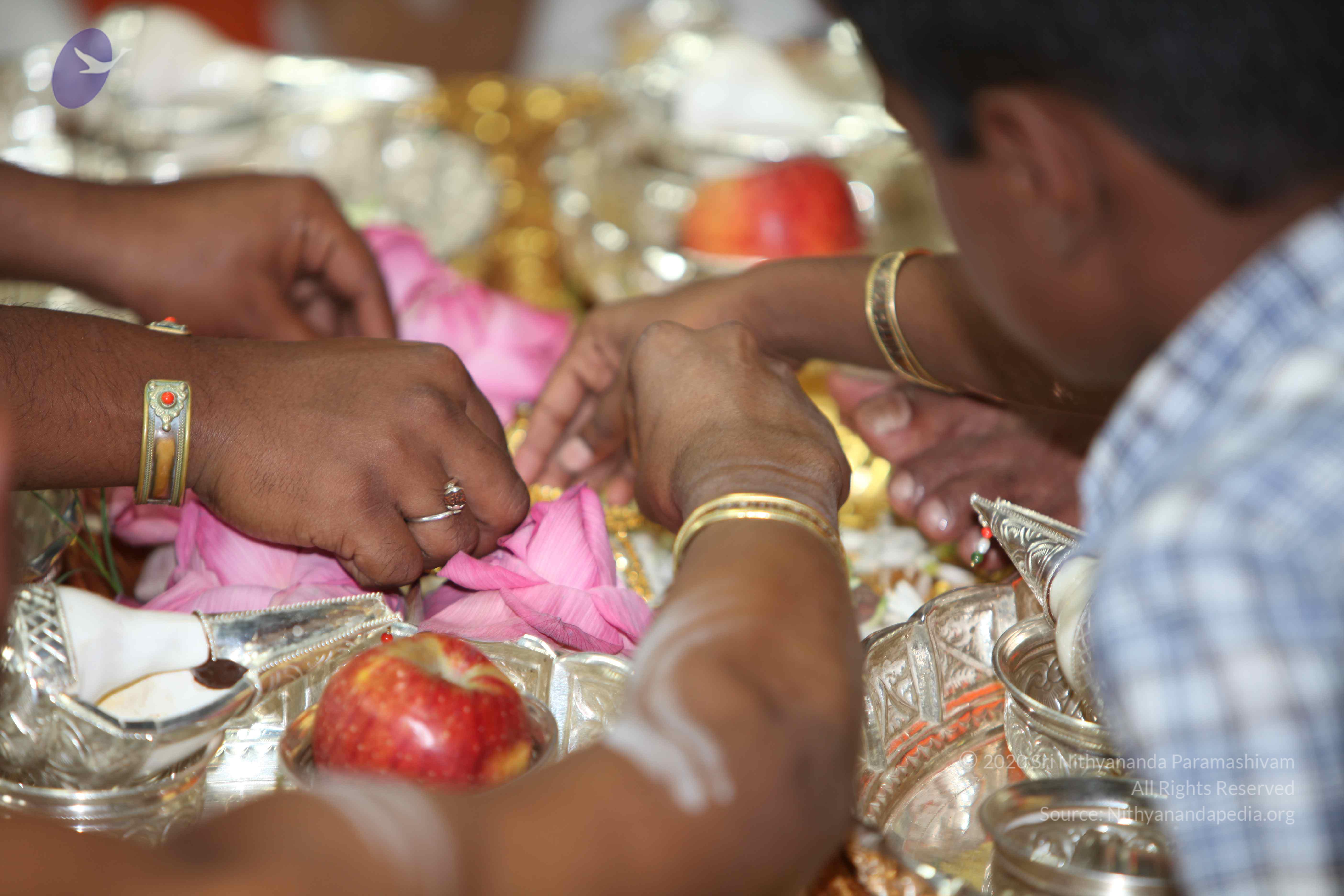 20101019_Photo_1028_IMG_2629_CMP_WM