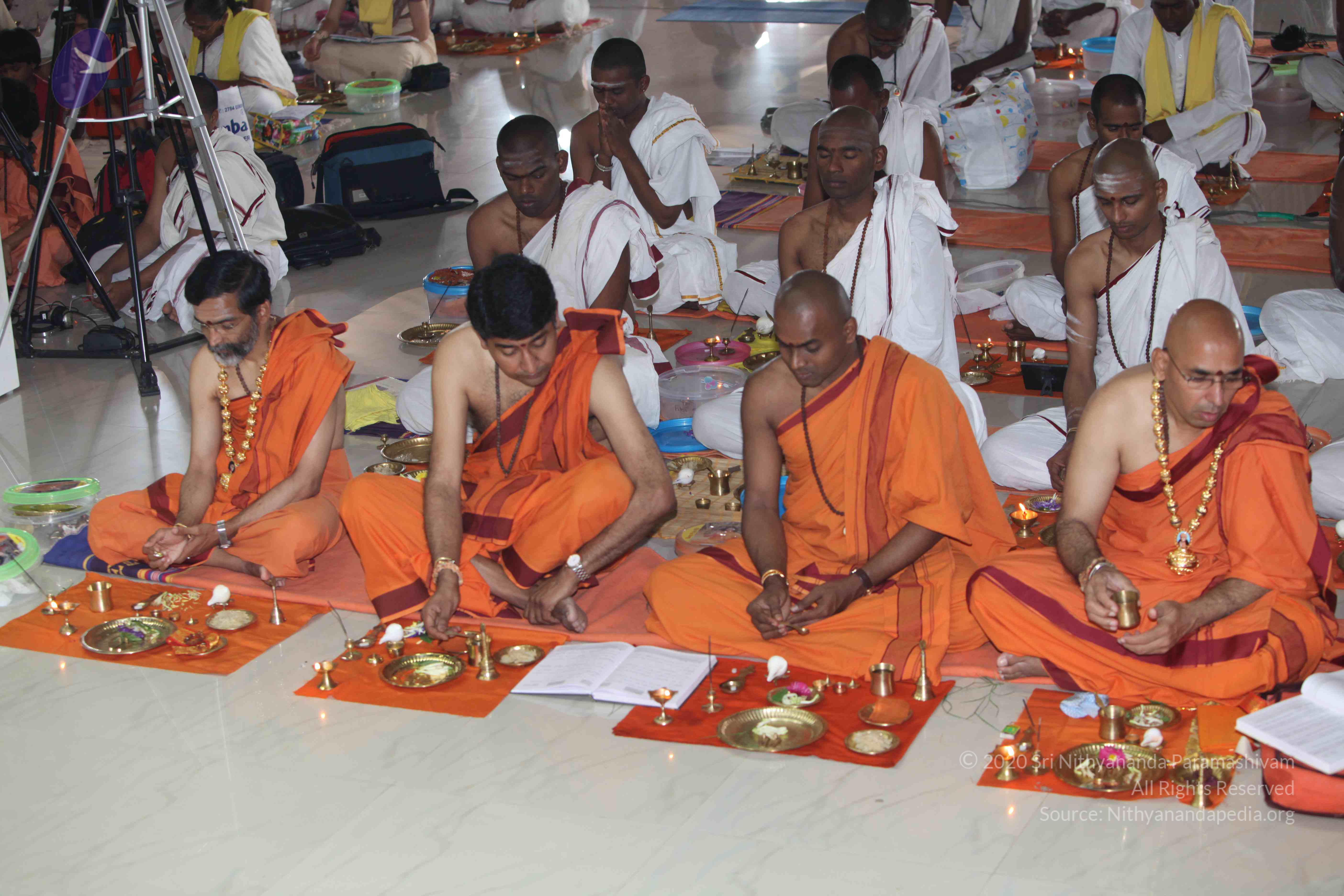 20101019_Photo_1029_IMG_2594_CMP_WM