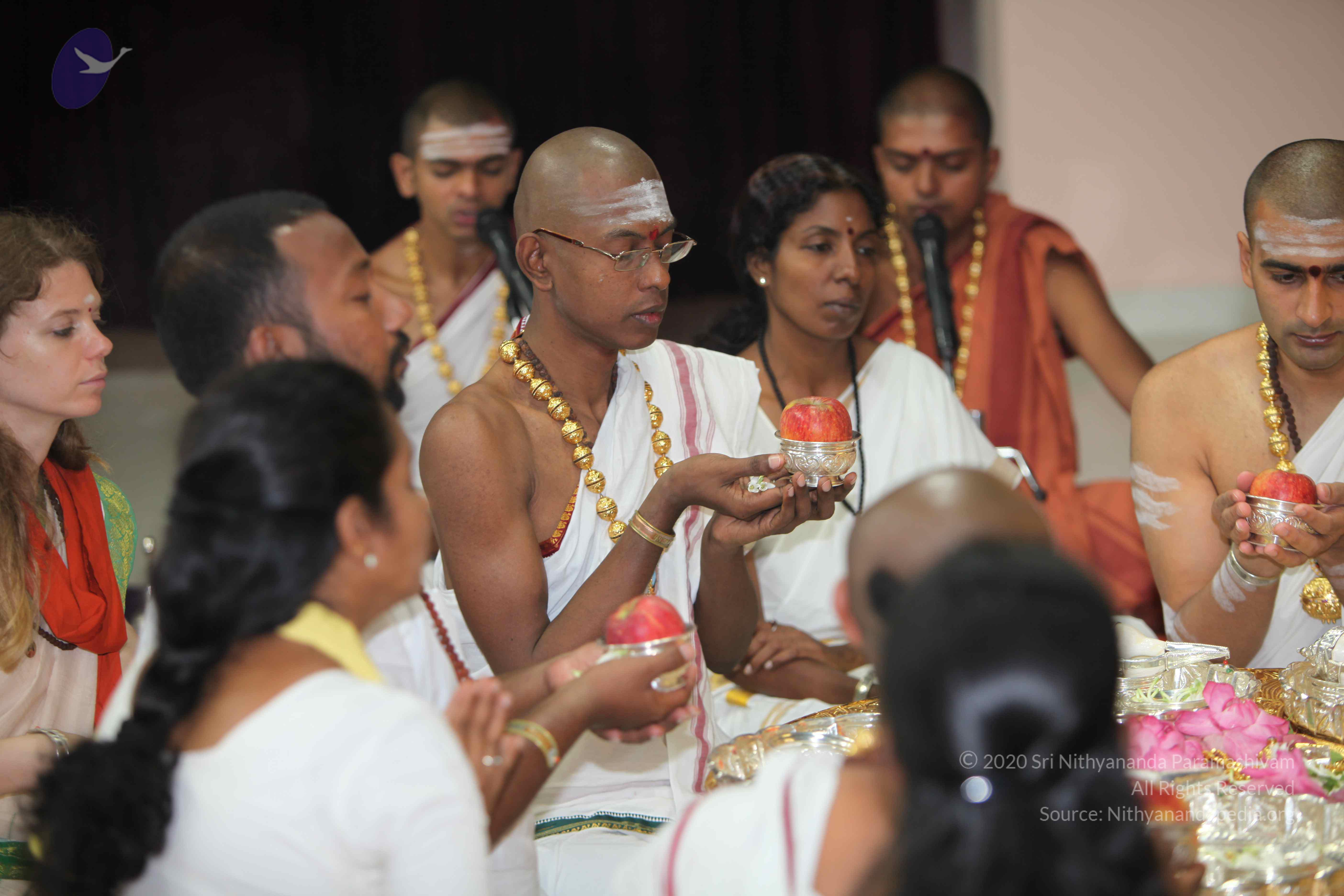 20101019_Photo_1034_IMG_2660_CMP_WM