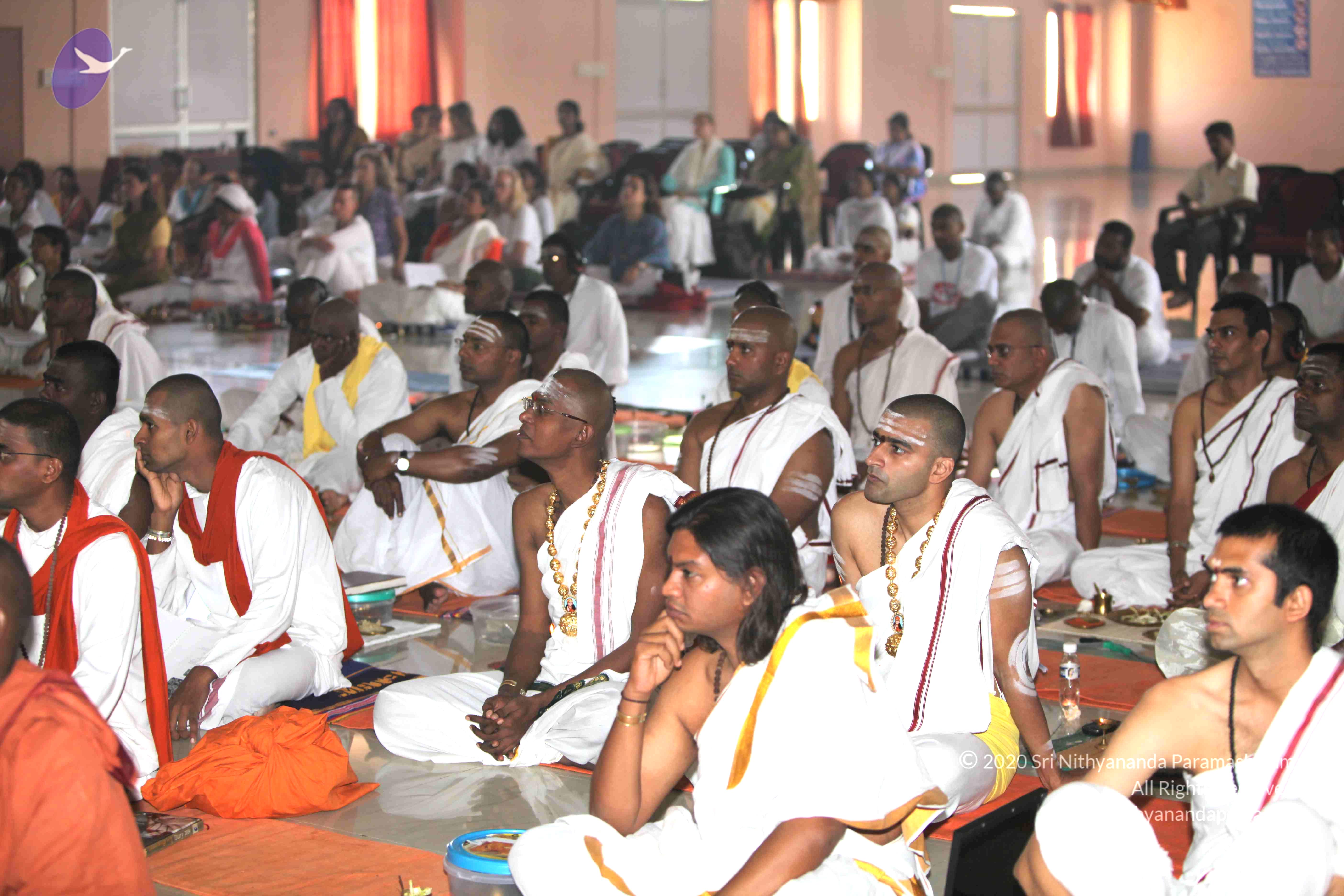 20101019_Photo_1046_IMG_2781_CMP_WM