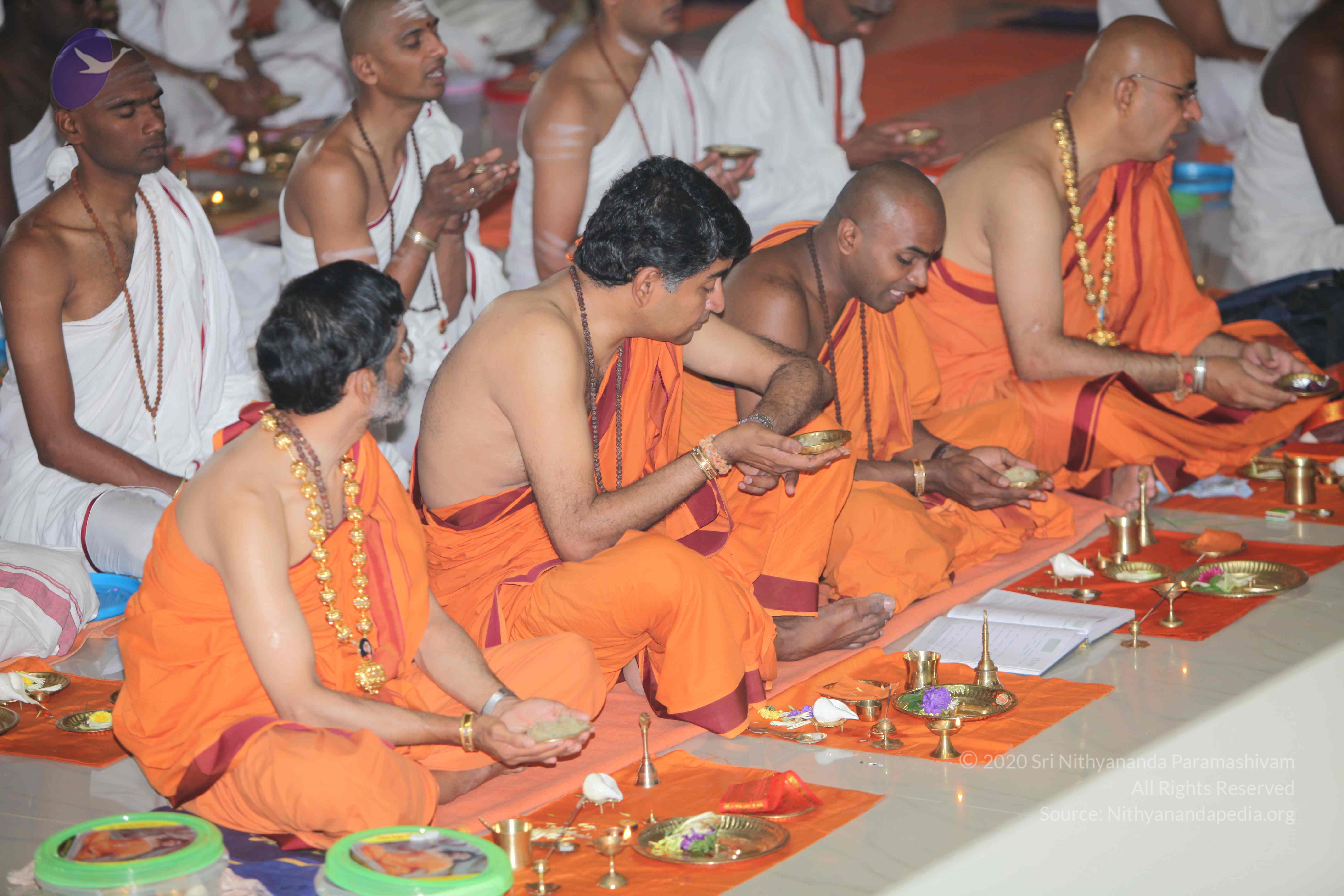 20101019_Photo_1055_IMG_2658_CMP_WM