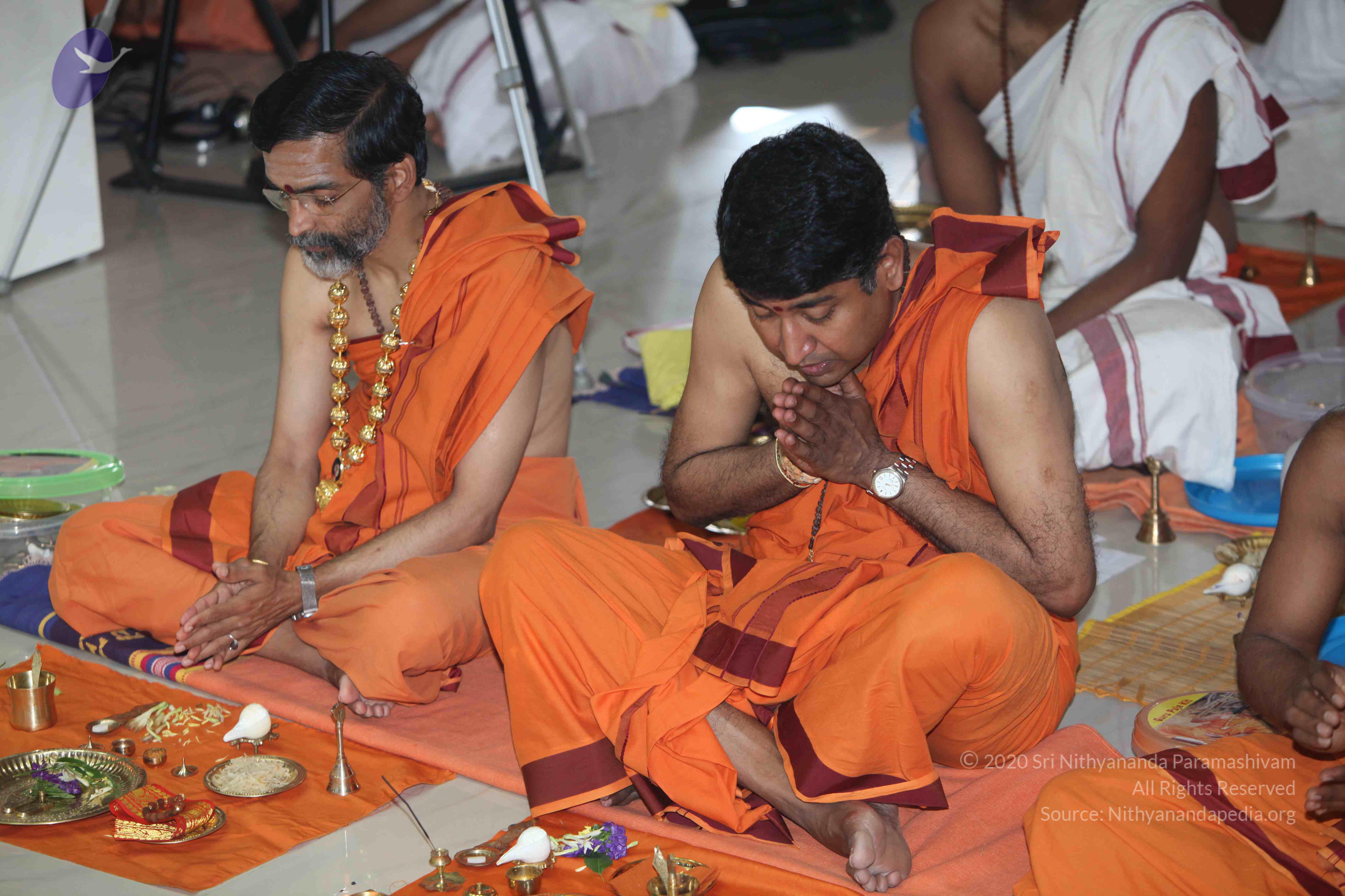 20101019_Photo_1065_IMG_2596_CMP_WM