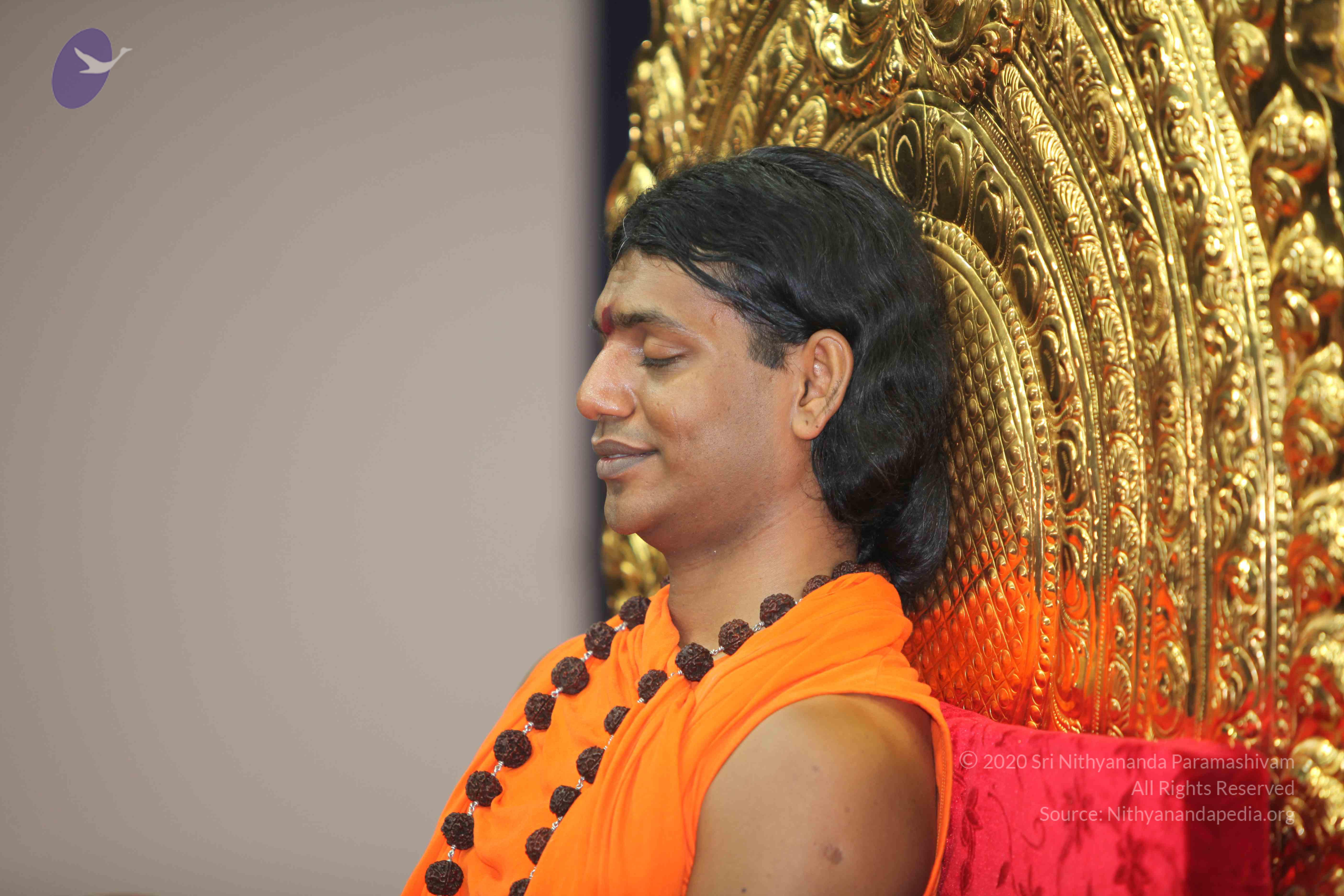 20101019_Photo_1071_IMG_2681_CMP_WM