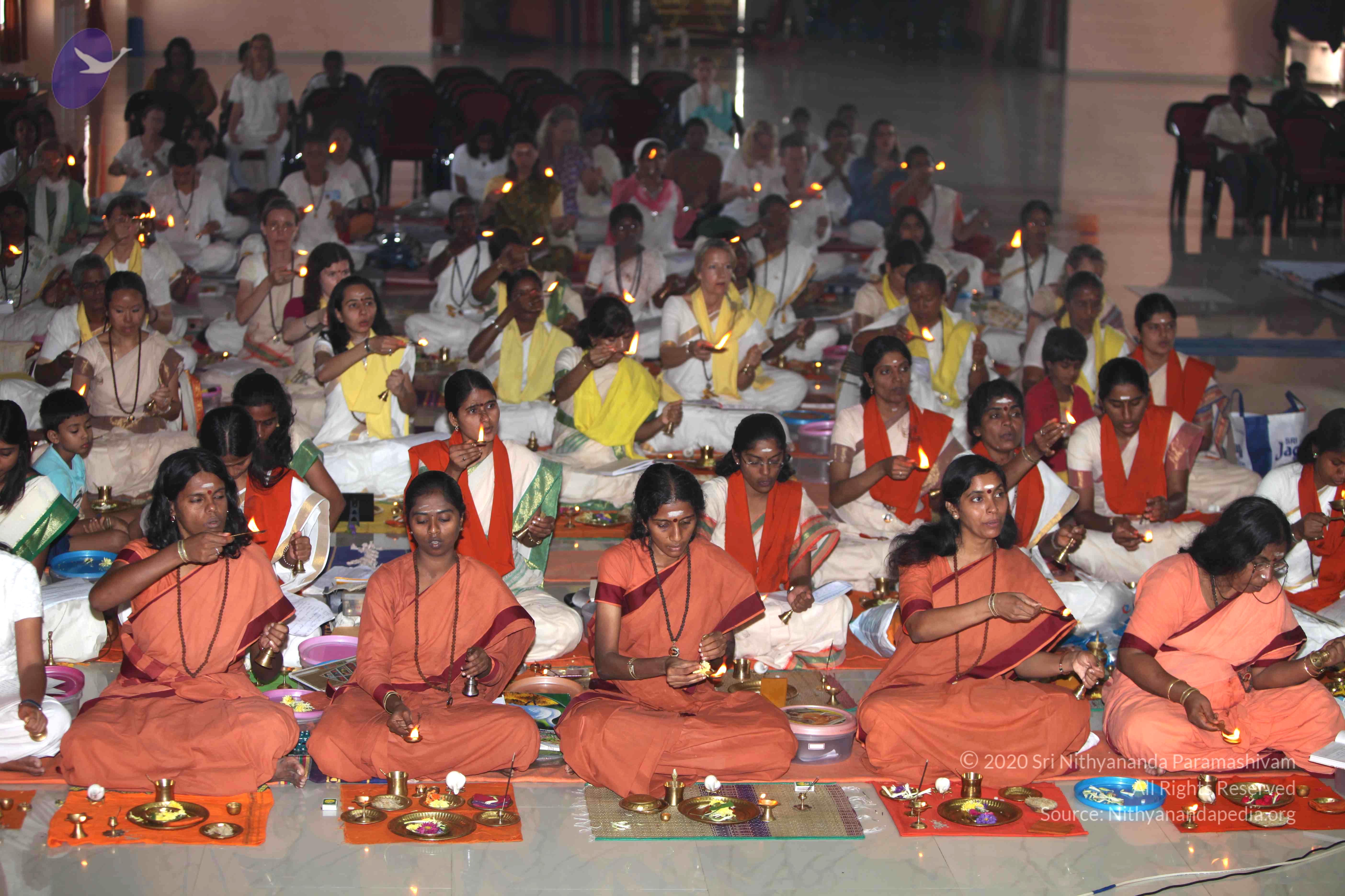 20101019_Photo_1076_IMG_2670_CMP_WM