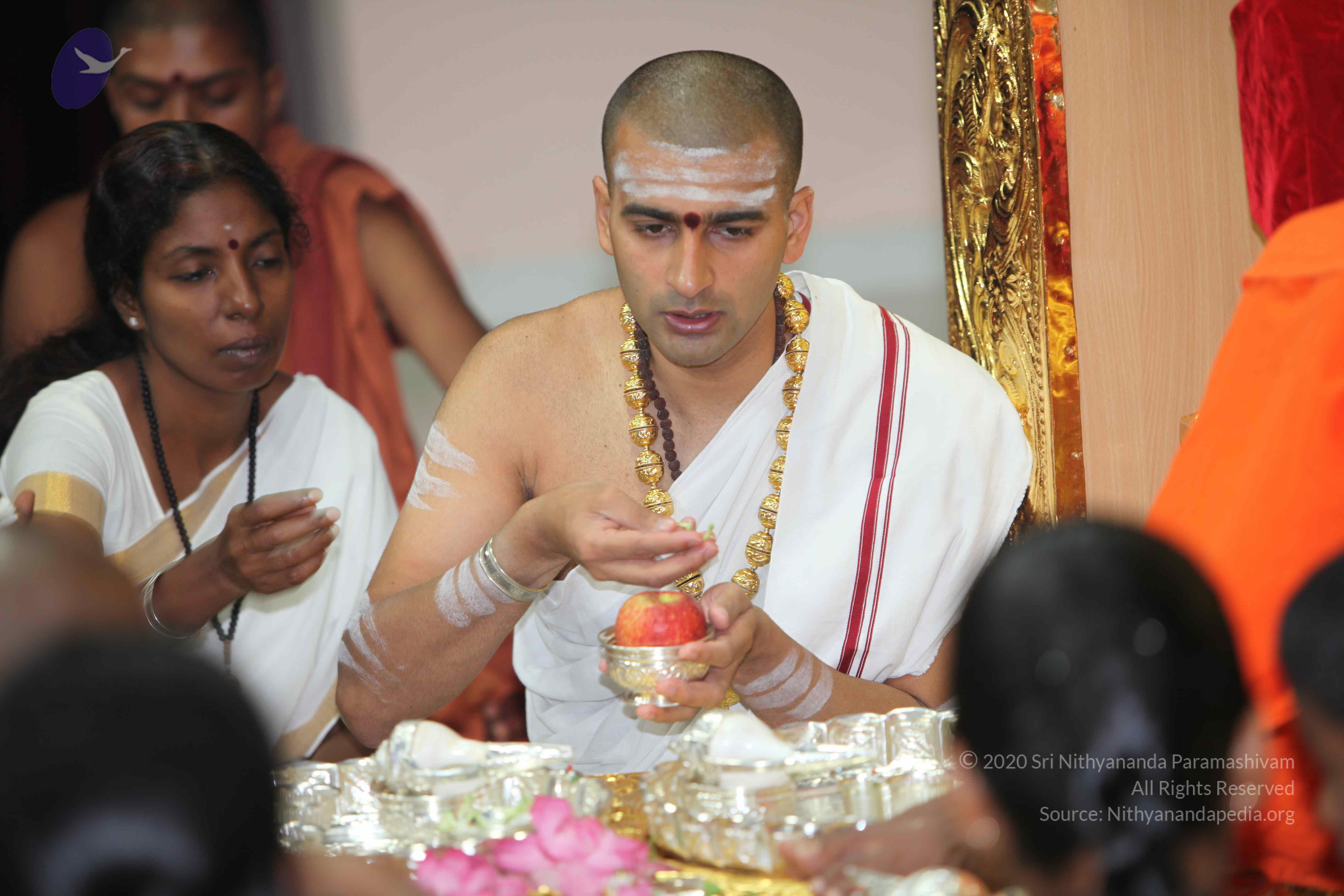 20101019_Photo_1089_IMG_2661_CMP_WM