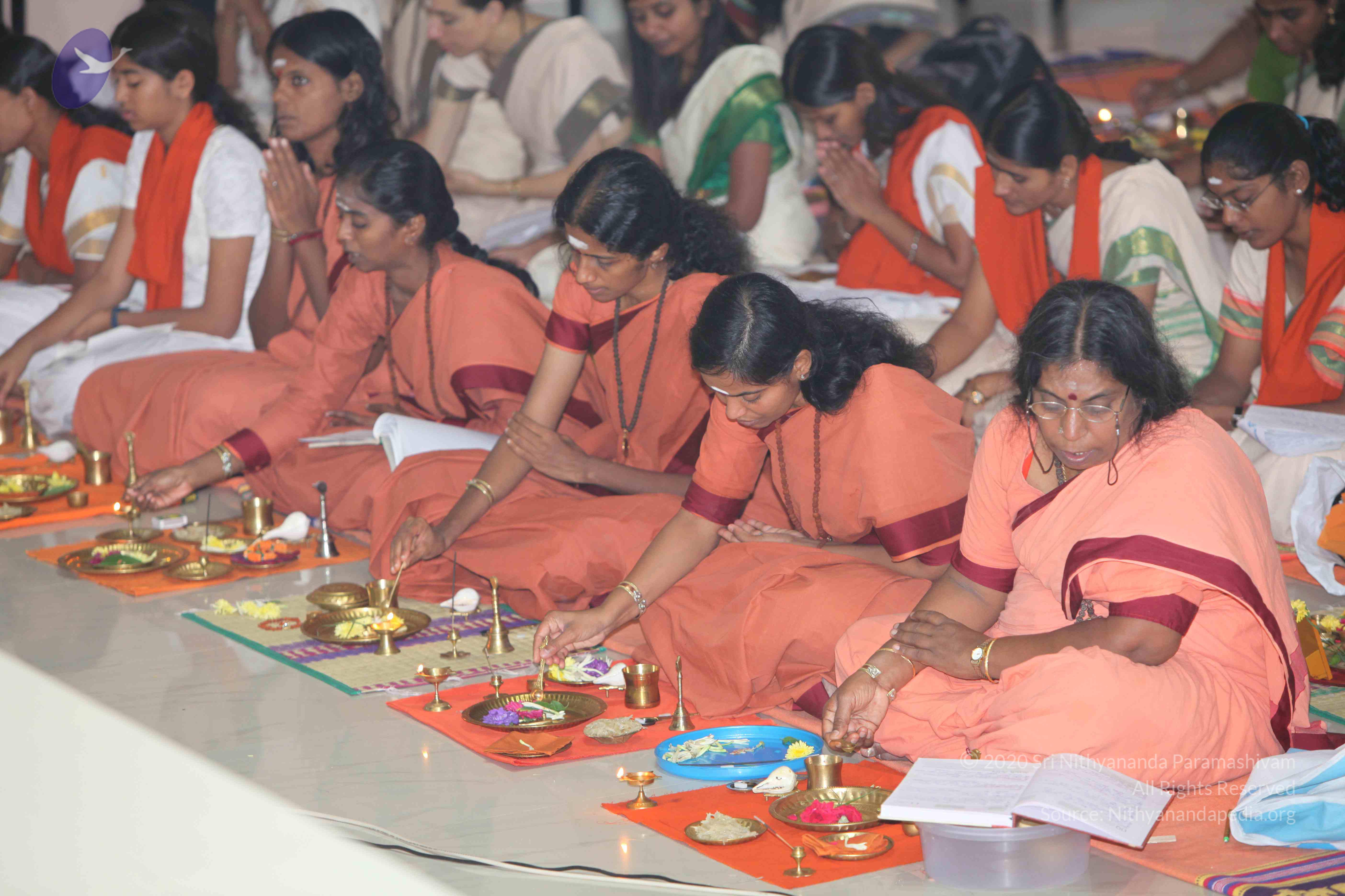 20101019_Photo_1091_IMG_2595_CMP_WM