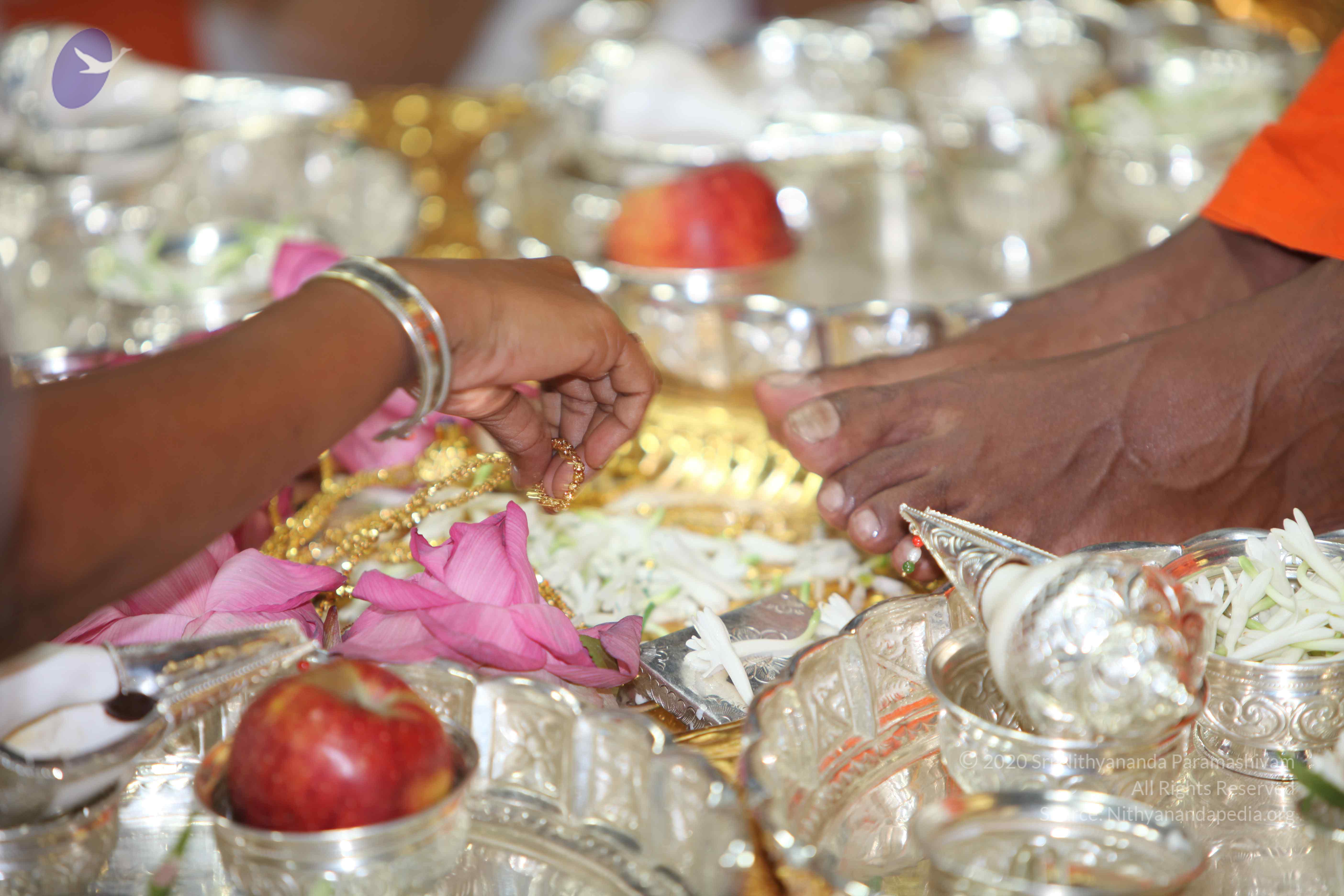 20101019_Photo_1097_IMG_2631_CMP_WM