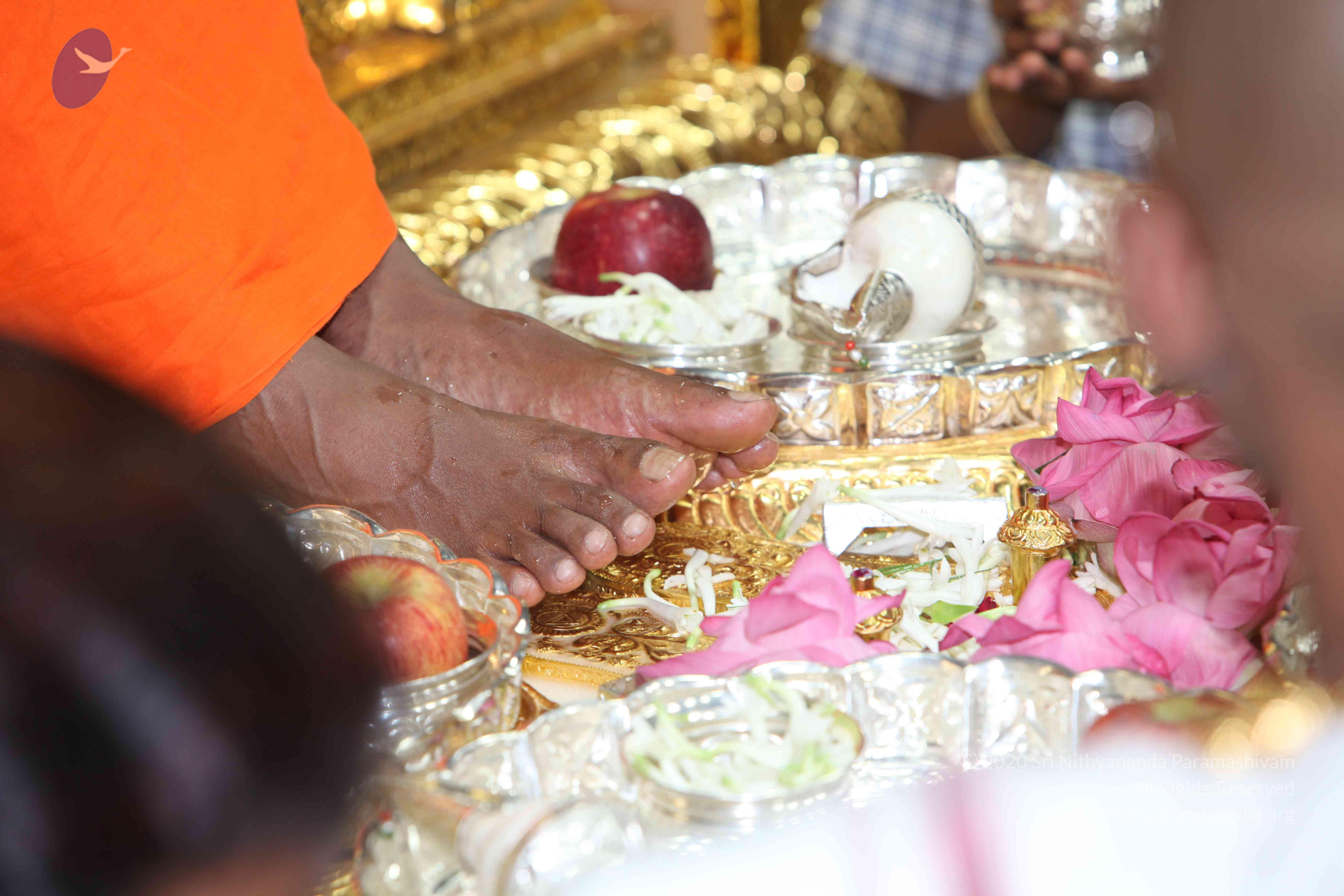 20101019_Photo_1098_IMG_2606_CMP_WM