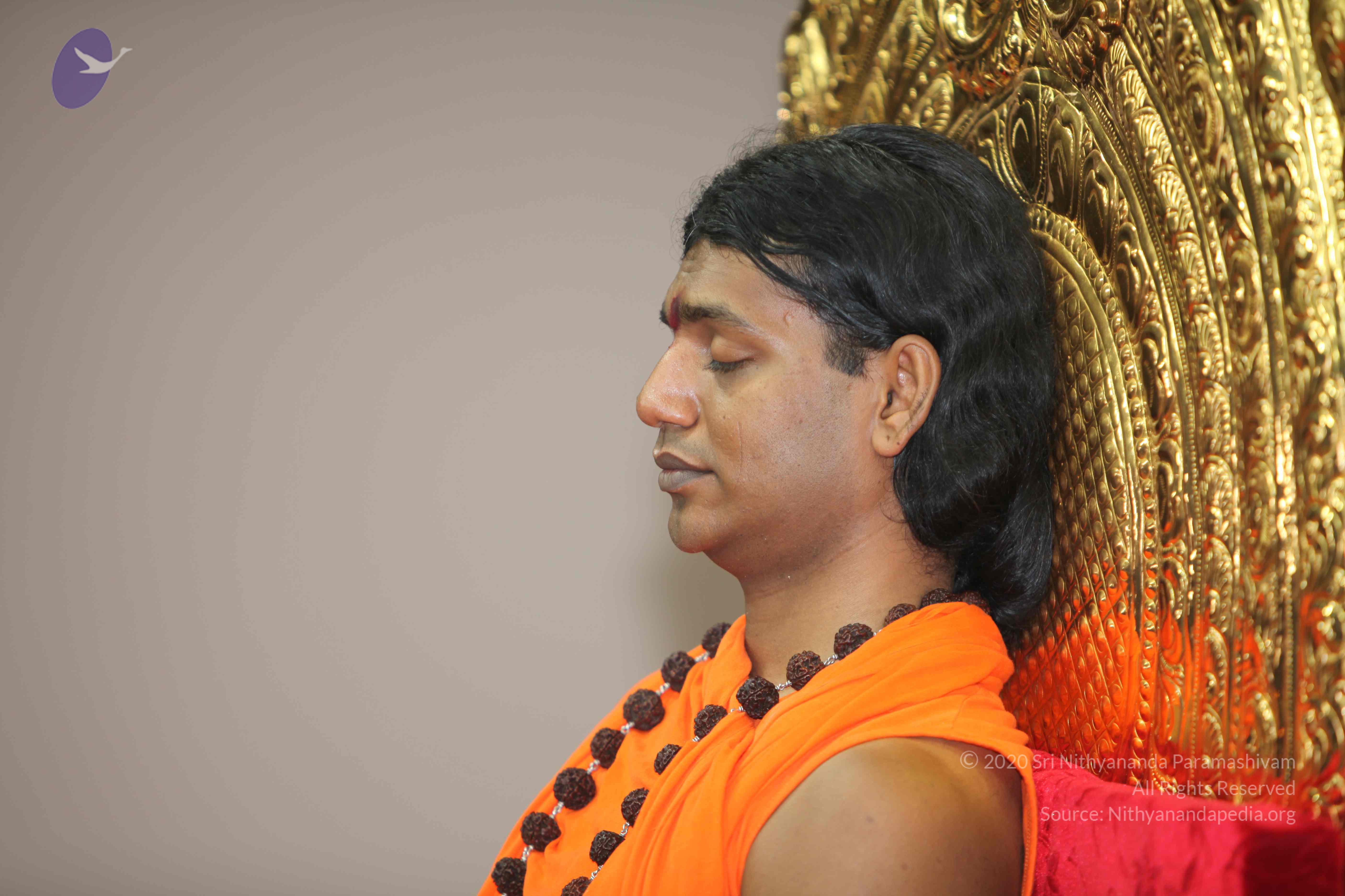 20101019_Photo_1099_IMG_2653_CMP_WM