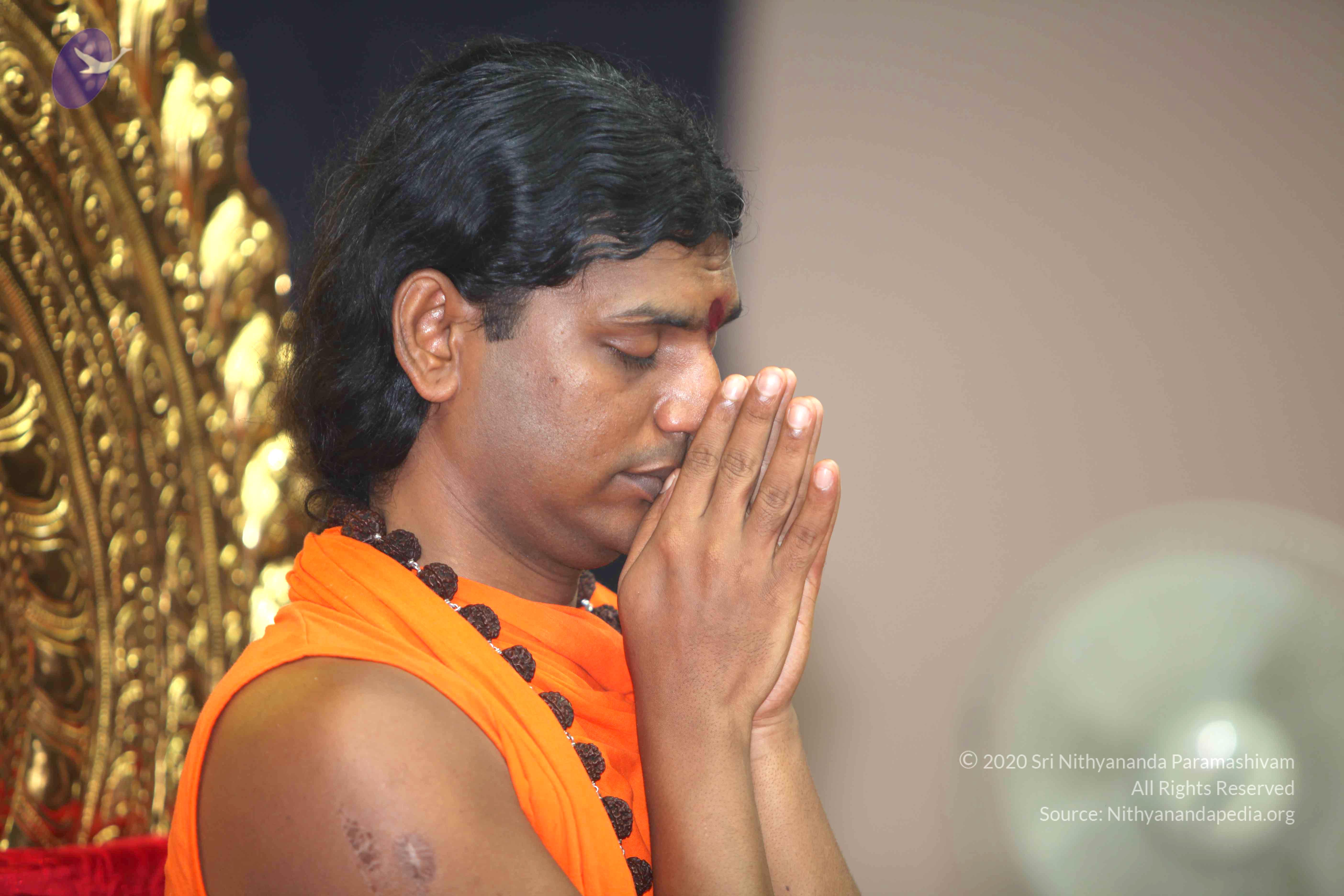 20101019_Photo_1105_IMG_2703_CMP_WM