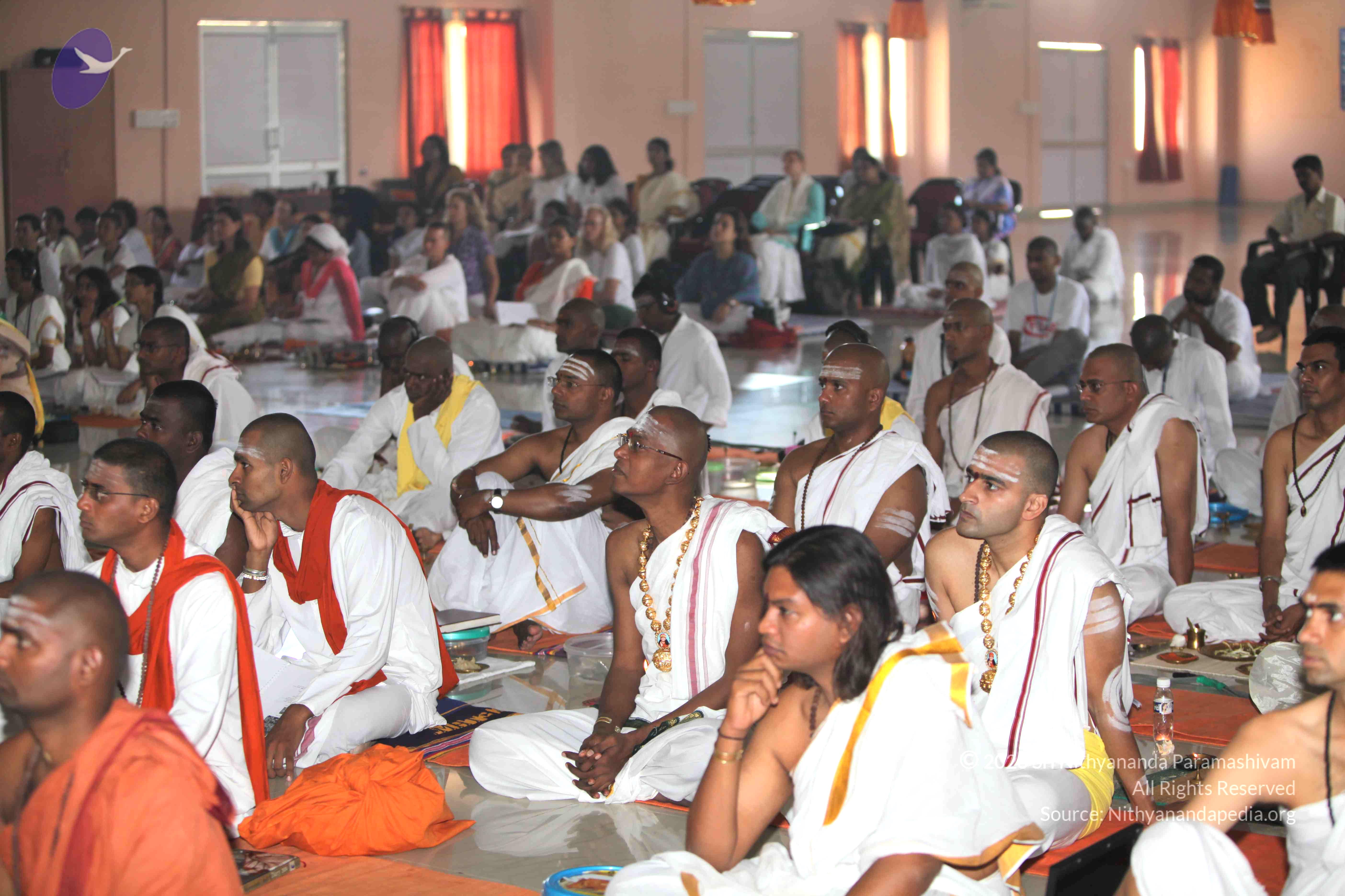 20101019_Photo_1109_IMG_2782_CMP_WM