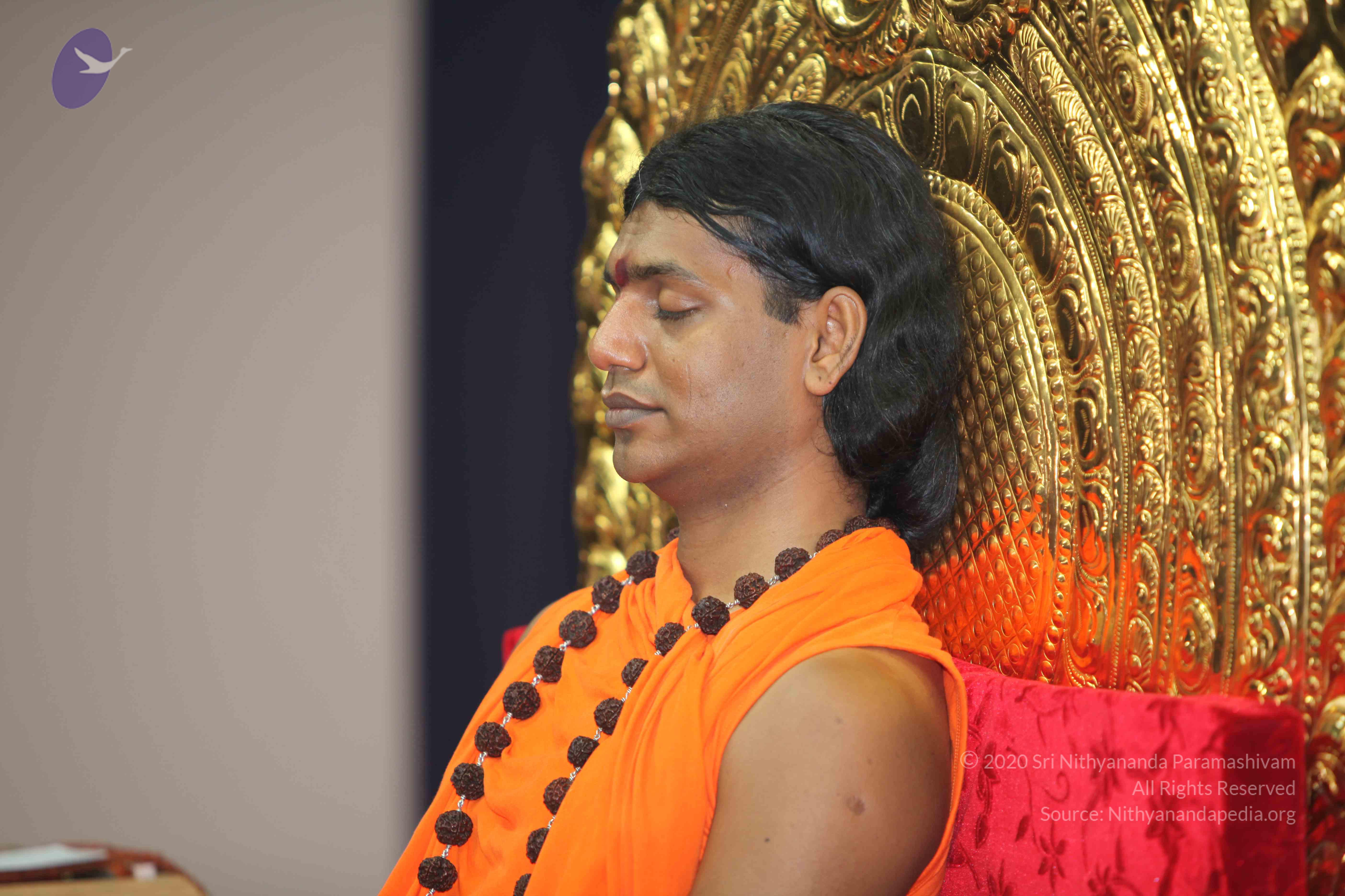 20101019_Photo_1110_IMG_2691_CMP_WM