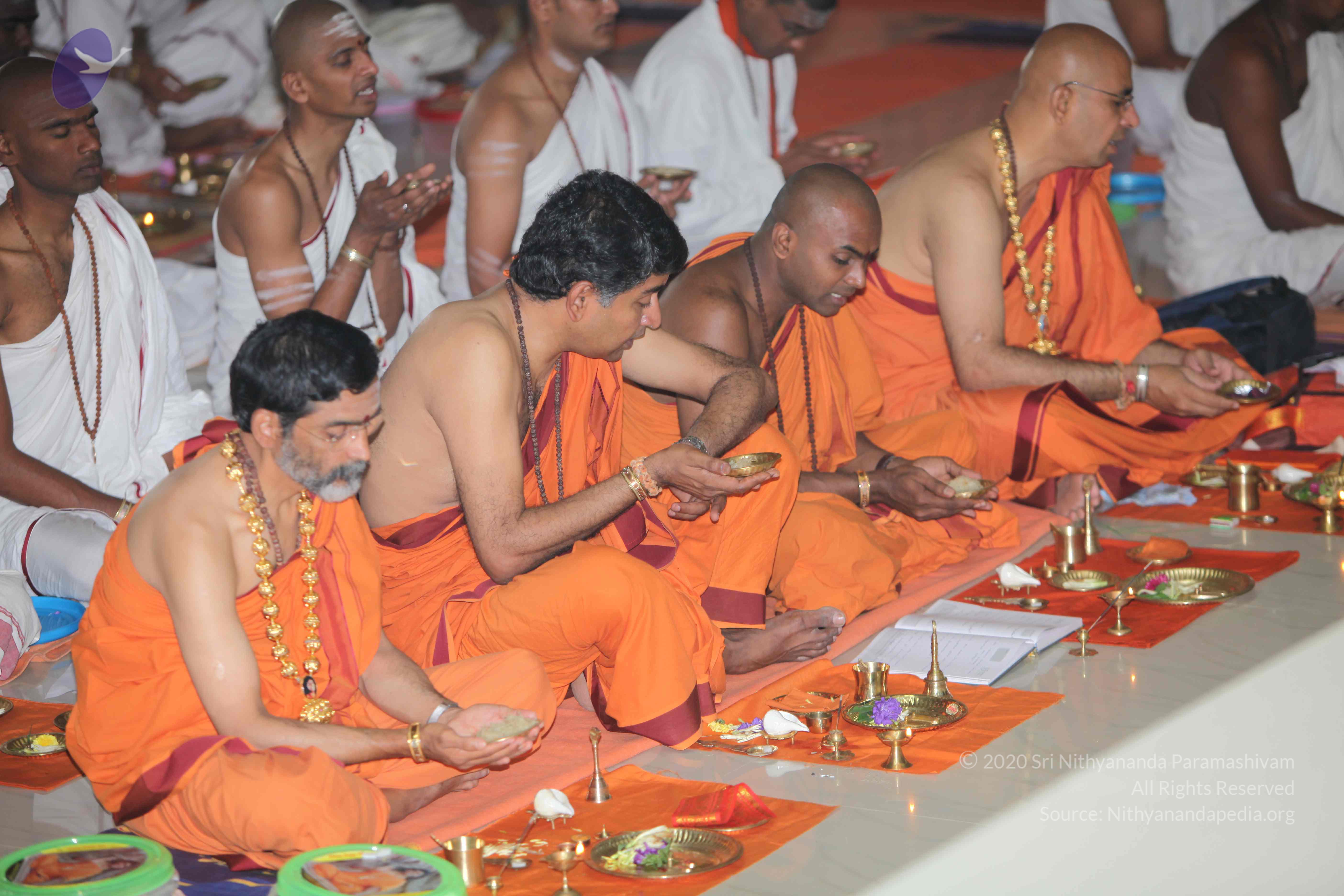 20101019_Photo_1111_IMG_2659_CMP_WM