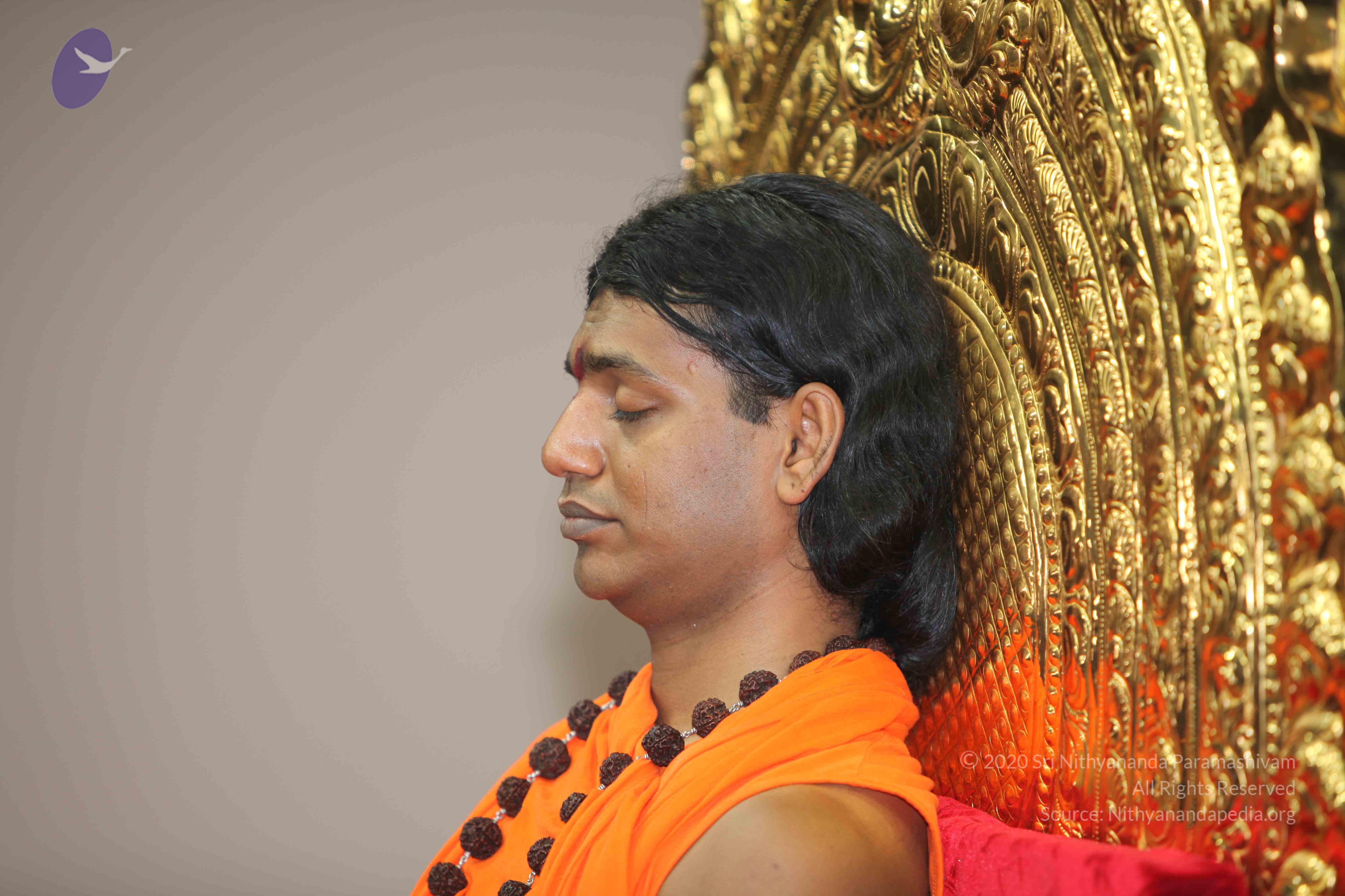 20101019_Photo_1123_IMG_2654_CMP_WM