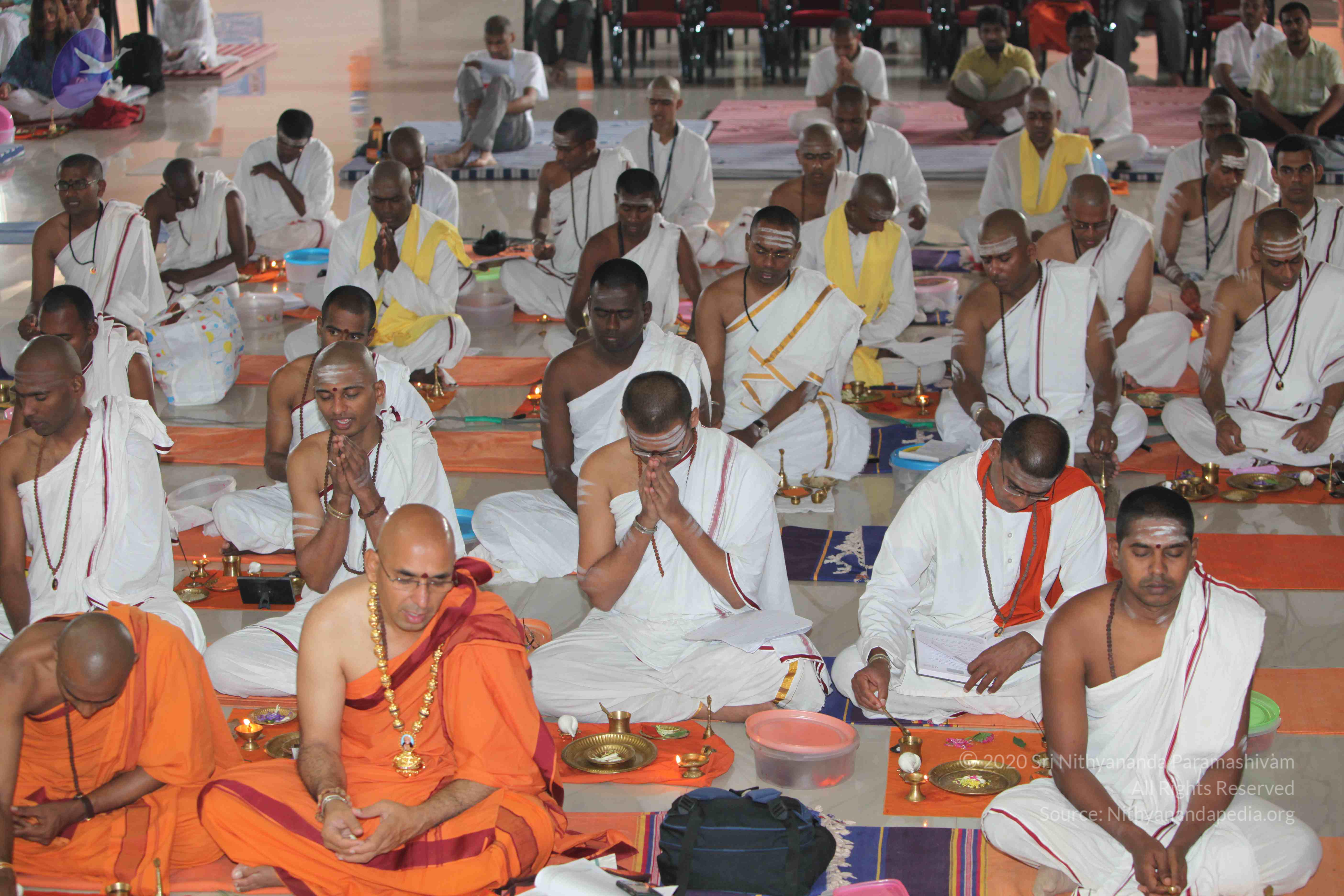 20101019_Photo_1133_IMG_2604_CMP_WM