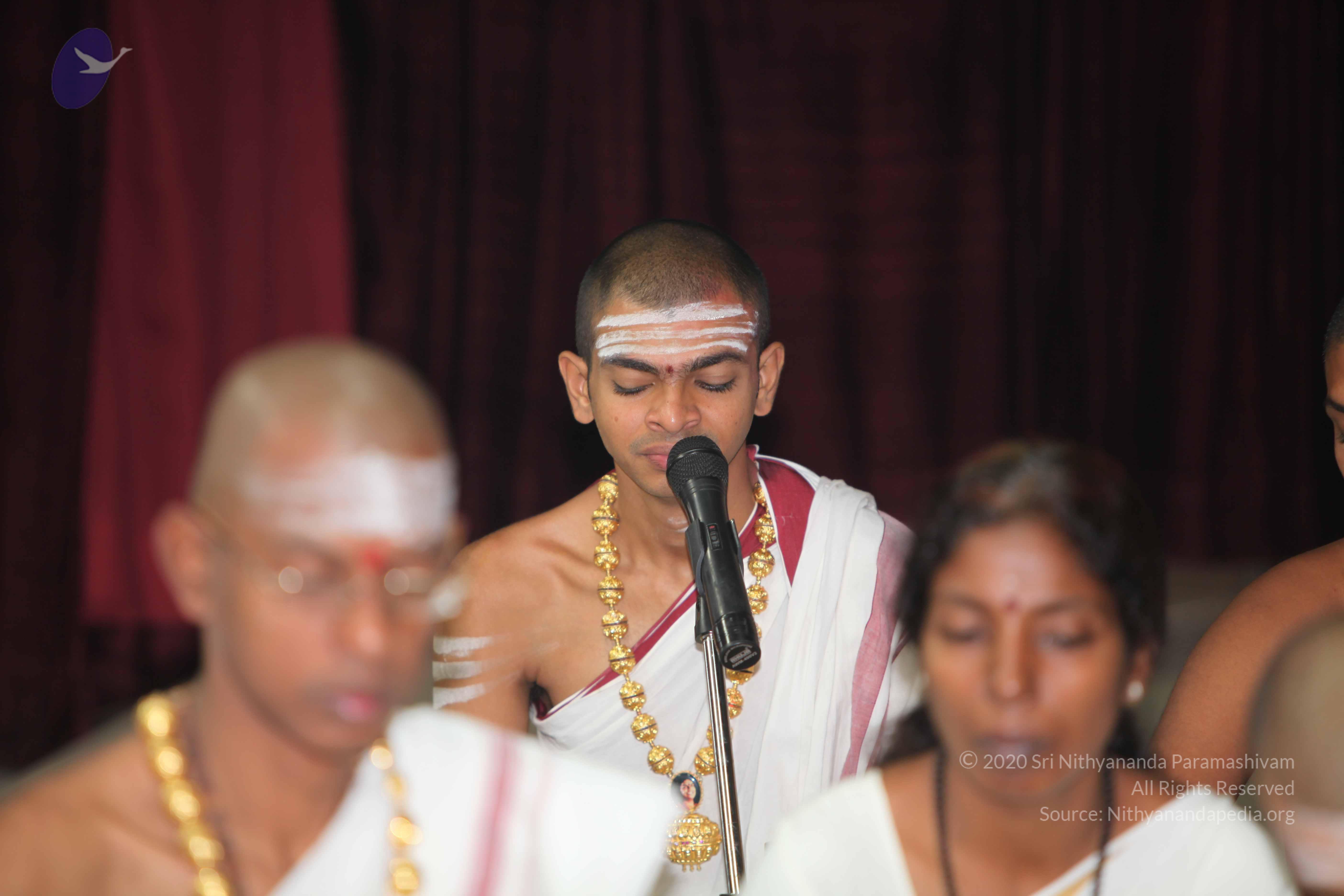 20101019_Photo_1135_IMG_2666_CMP_WM