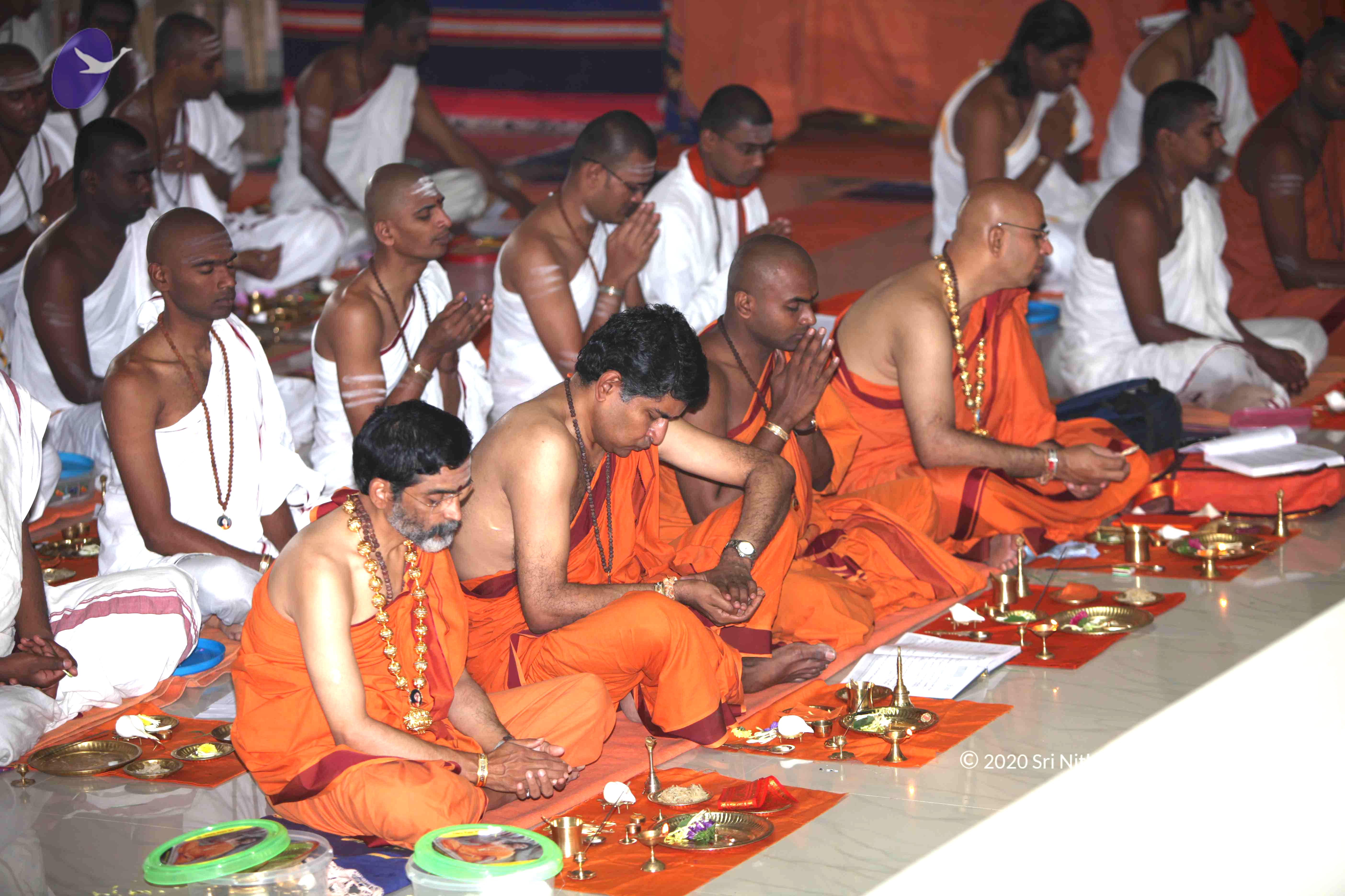 20101019_Photo_1141_IMG_2640_CMP_WM