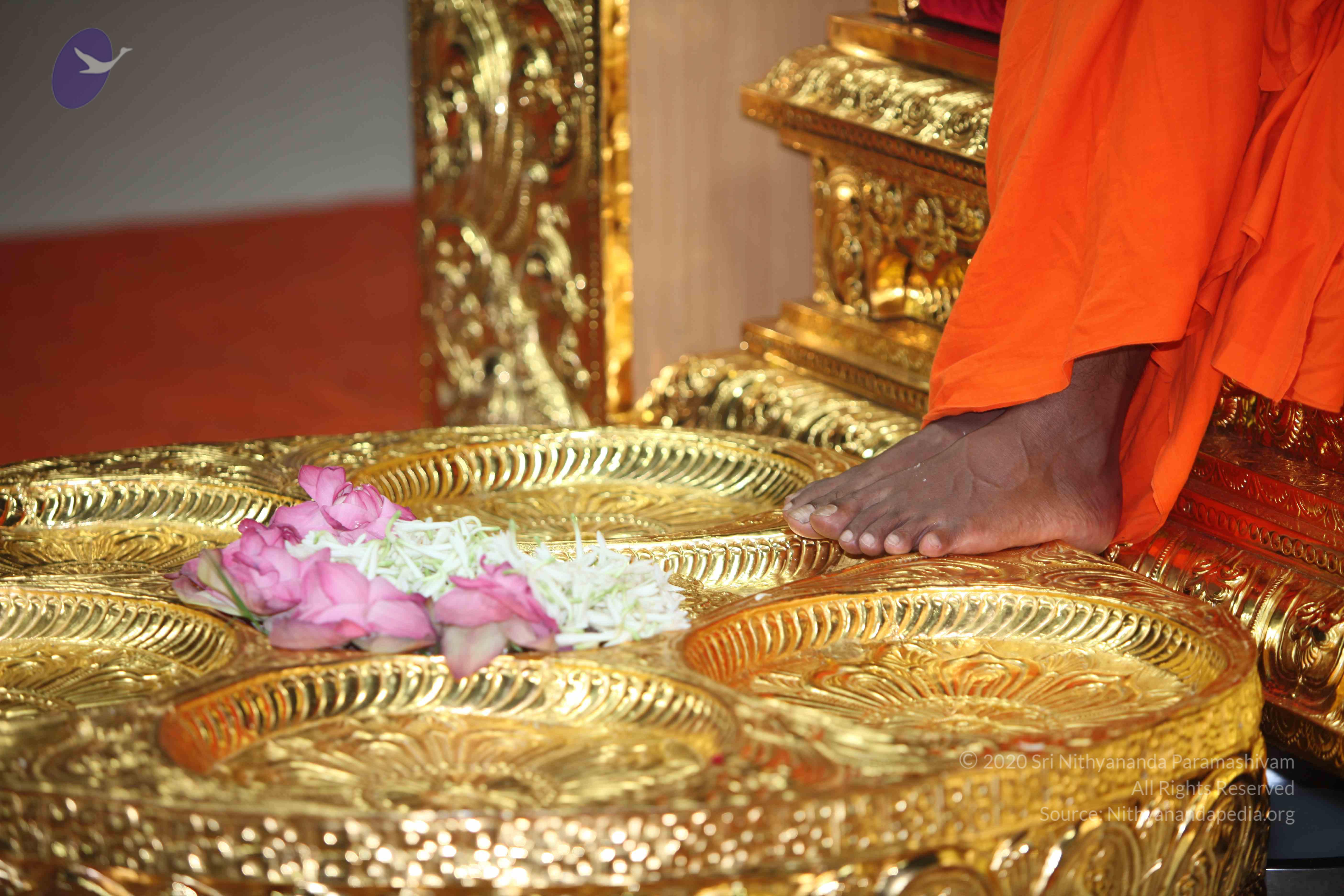 20101019_Photo_1145_IMG_2736_CMP_WM