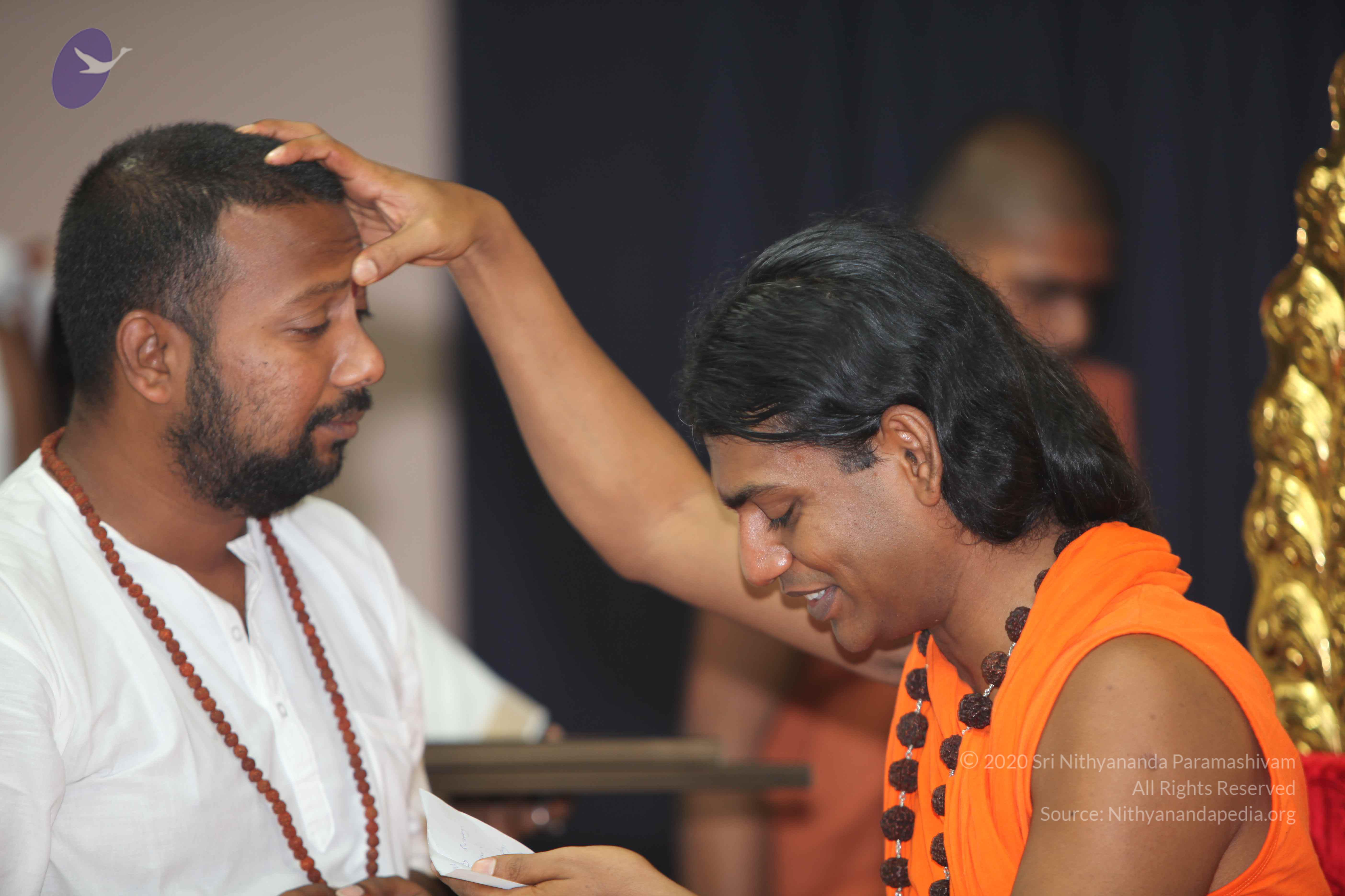 20101019_Photo_1009_IMG_2732_CMP_WM