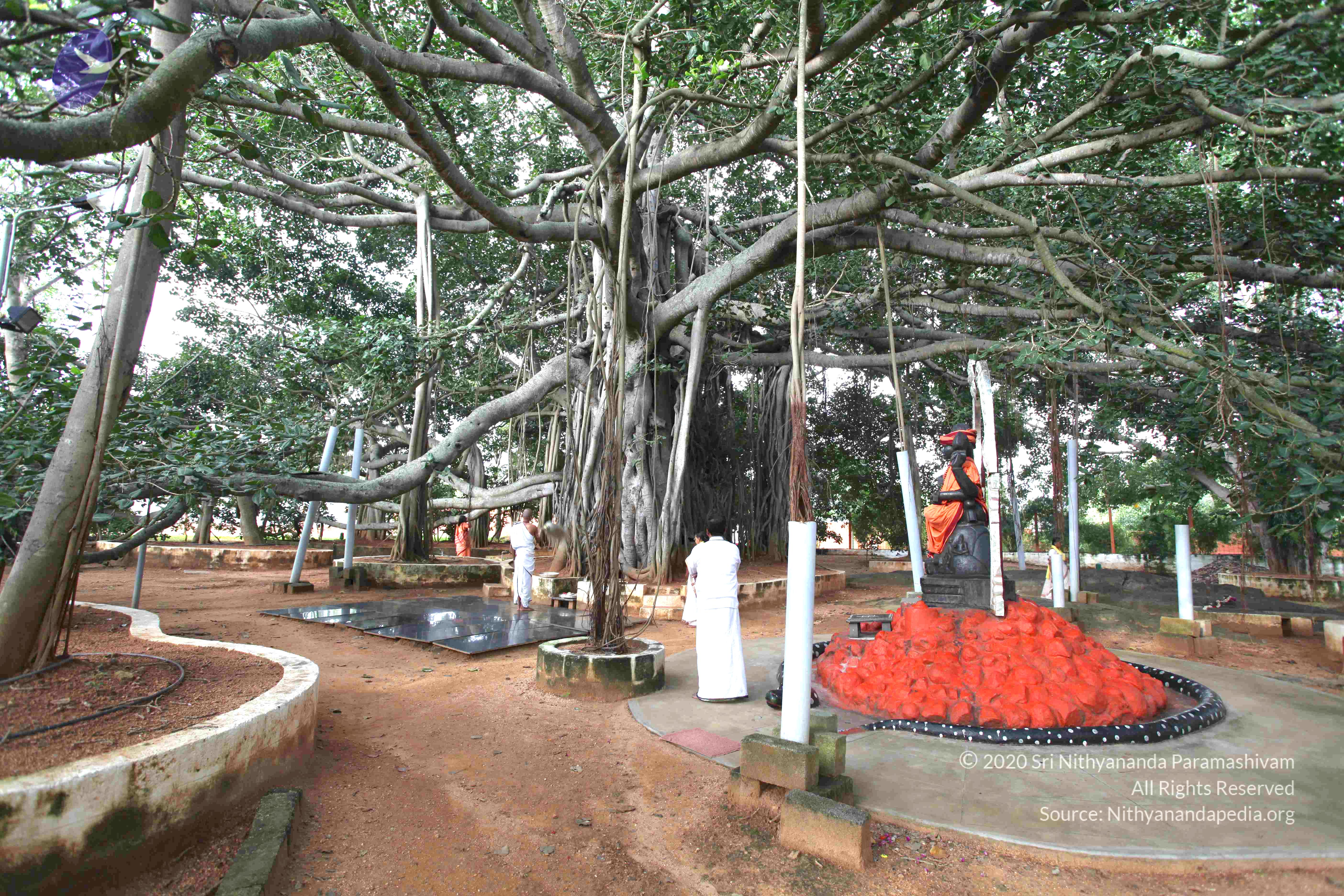 20101019_Photo_1013_IMG_2540_CMP_WM