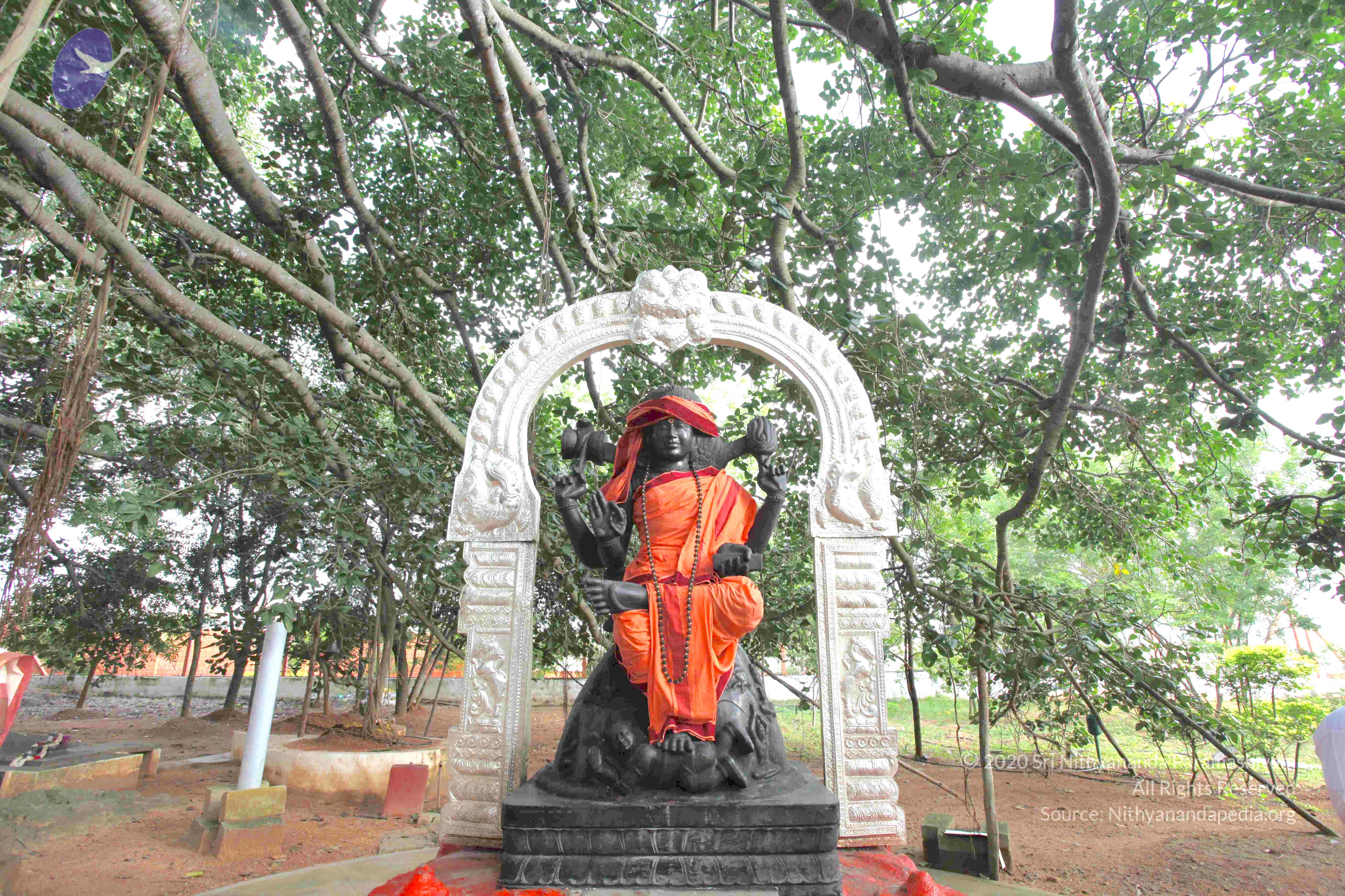 20101019_Photo_1026_IMG_2531_CMP_WM