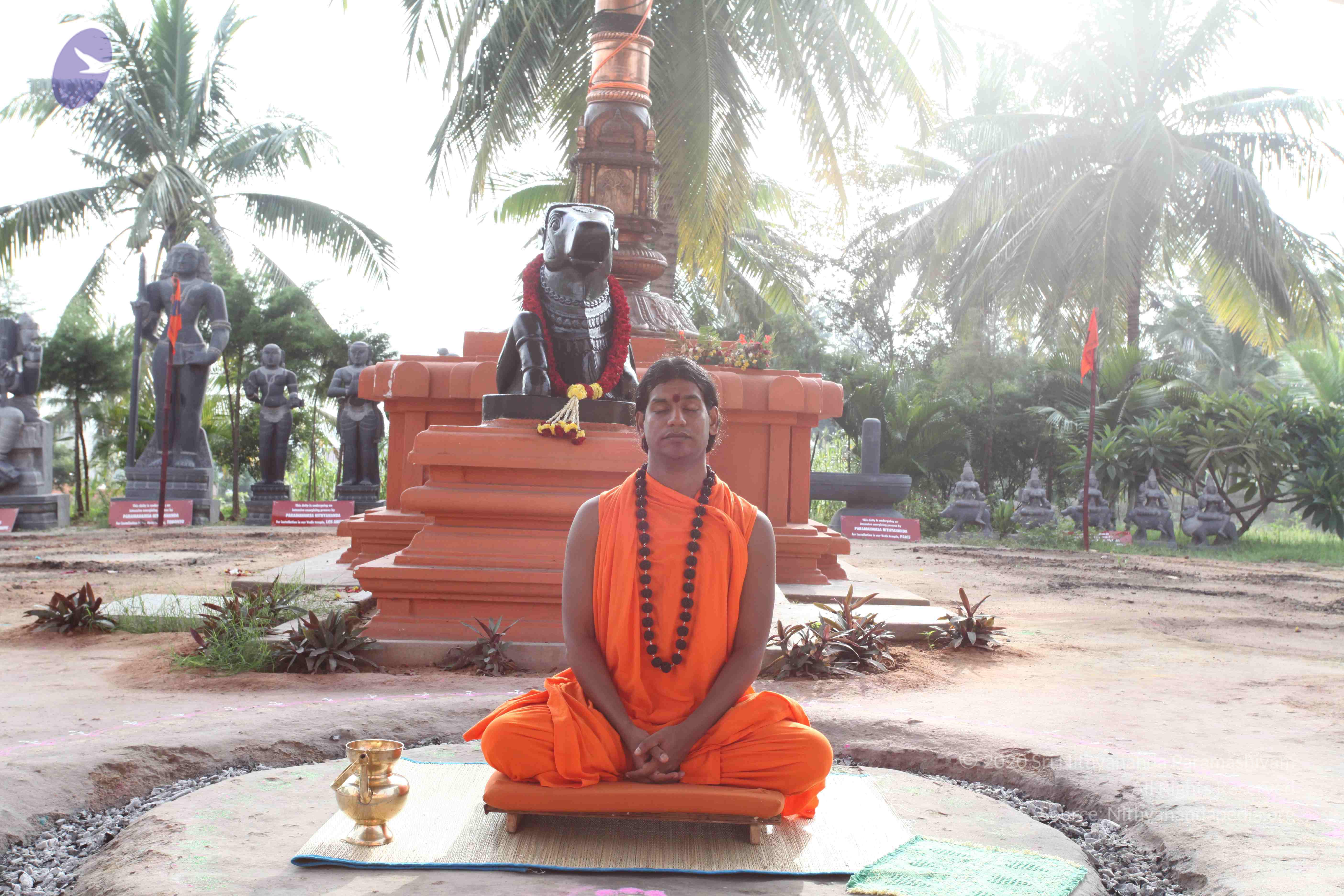 20101019_Photo_1034_IMG_2519_CMP_WM