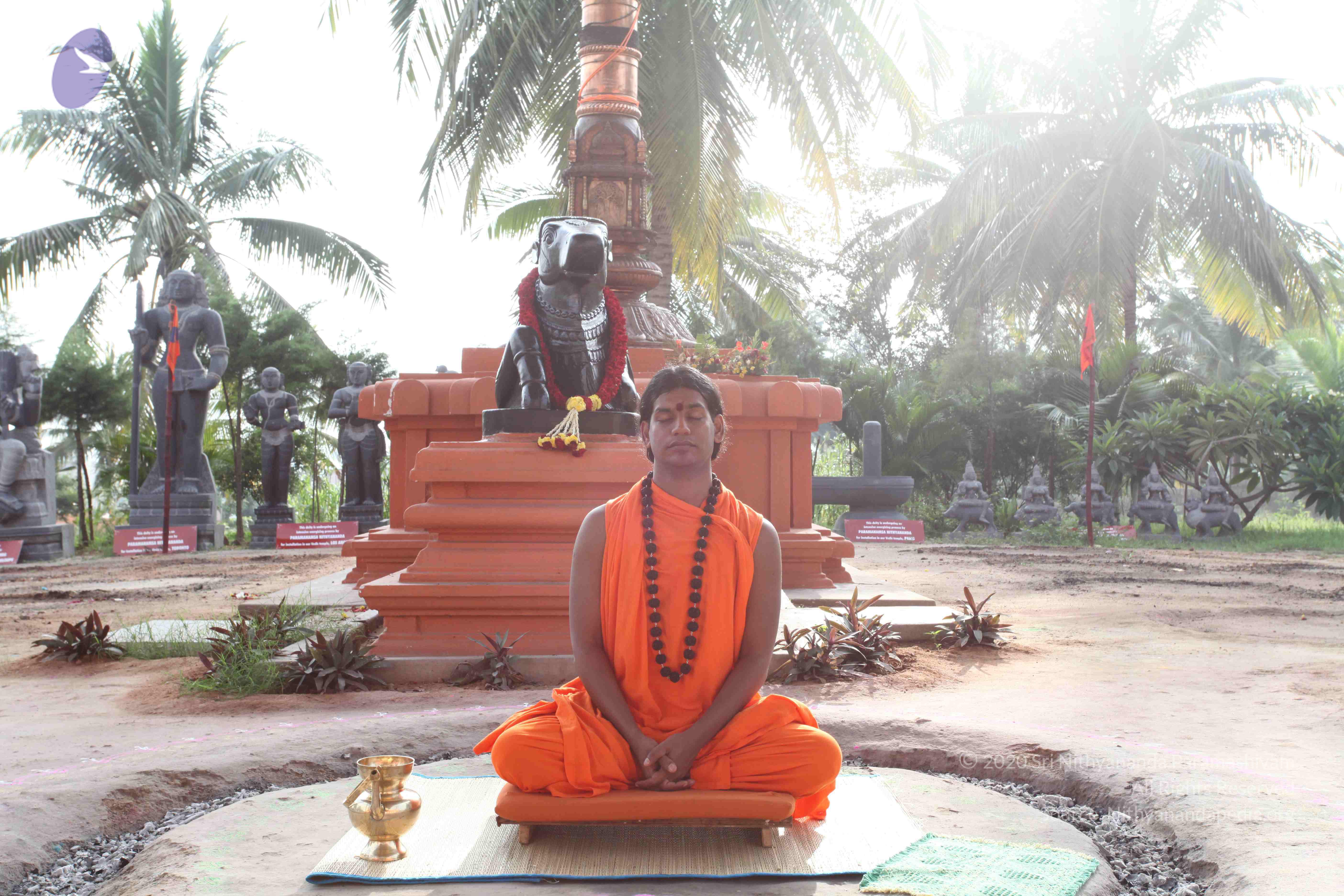 20101019_Photo_1040_IMG_2523_CMP_WM