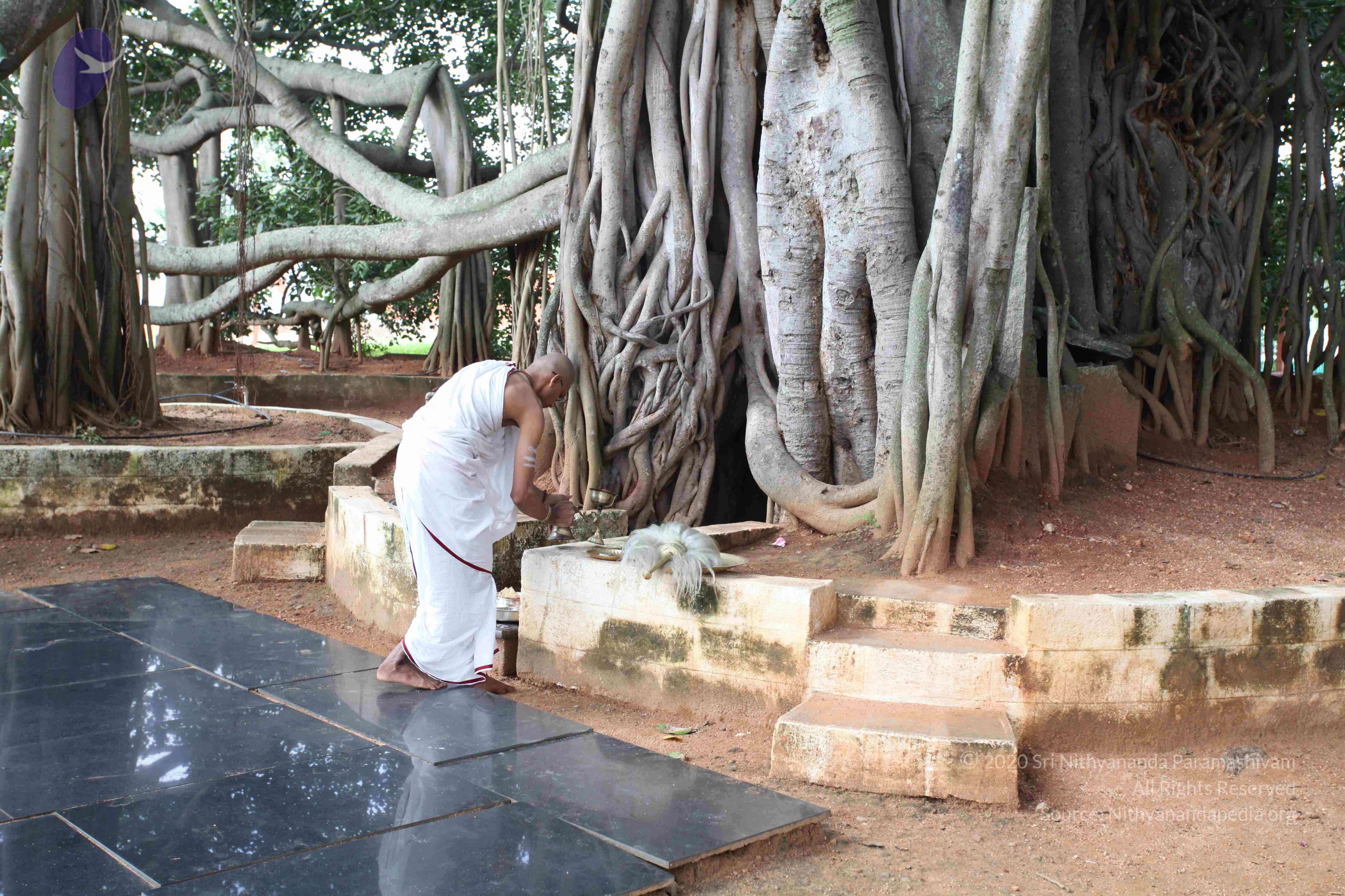 20101019_Photo_1067_IMG_2529_CMP_WM