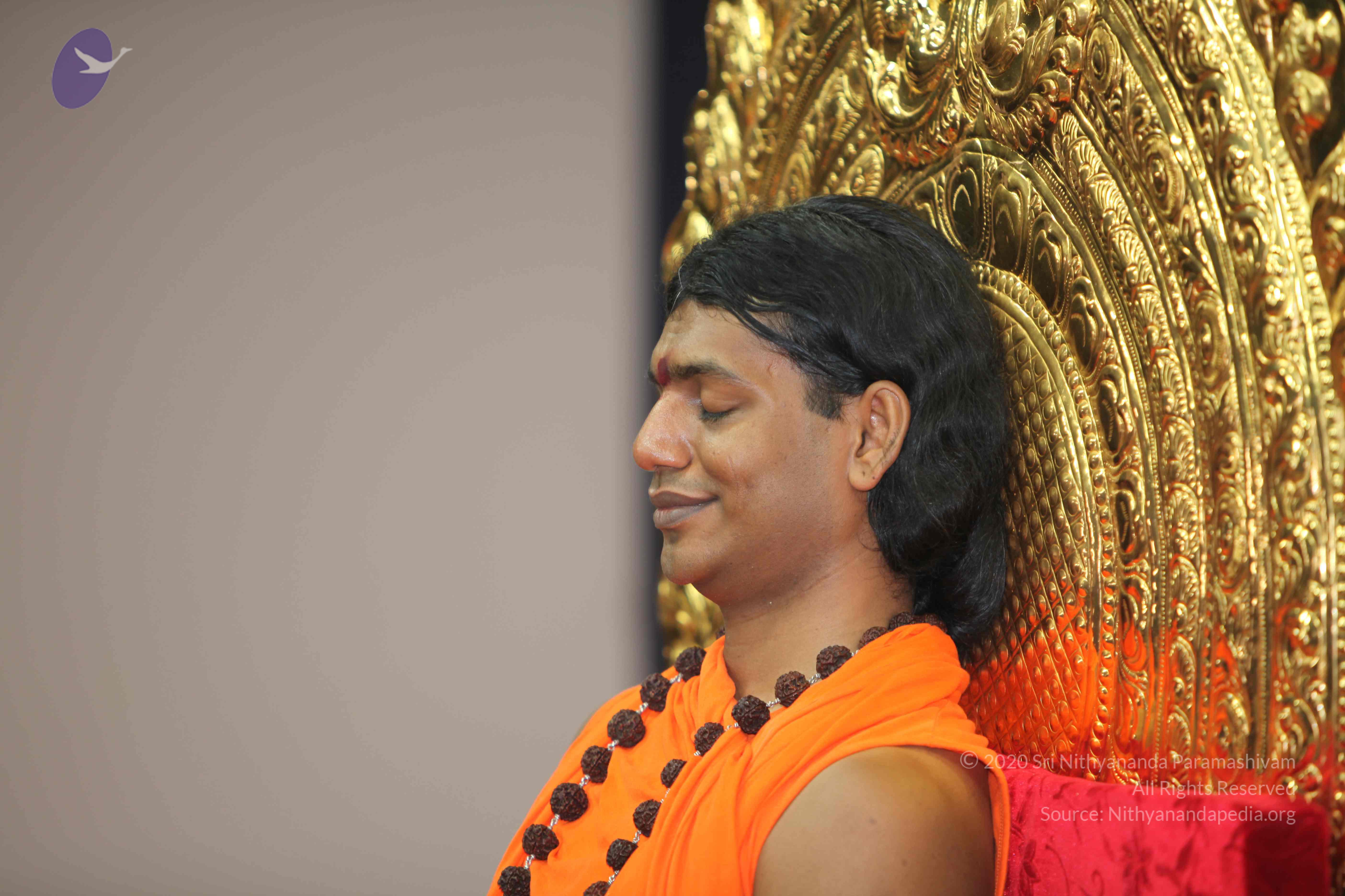 20101019_Photo_1000_IMG_2679_CMP_WM