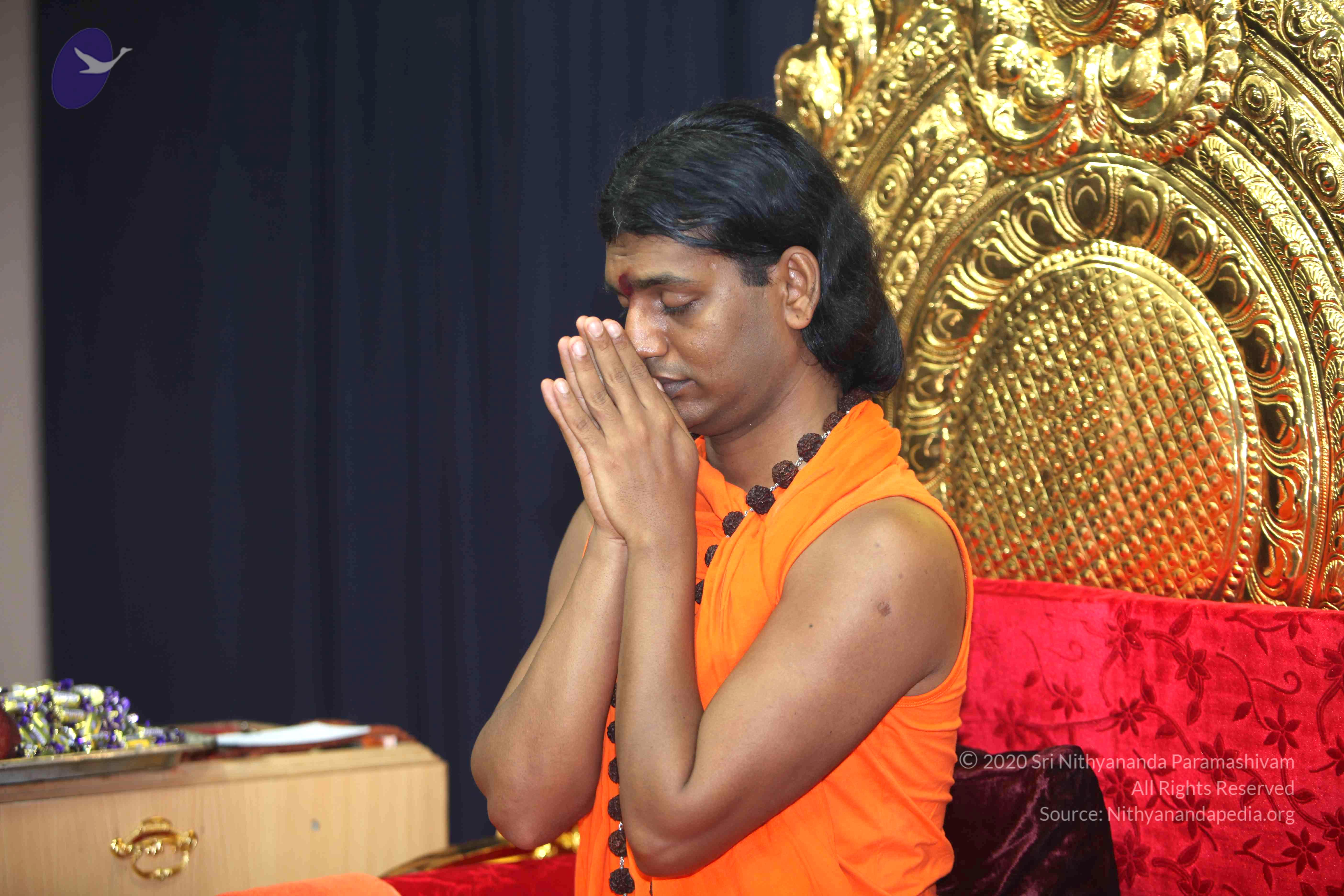 20101019_Photo_1003_IMG_2713_CMP_WM