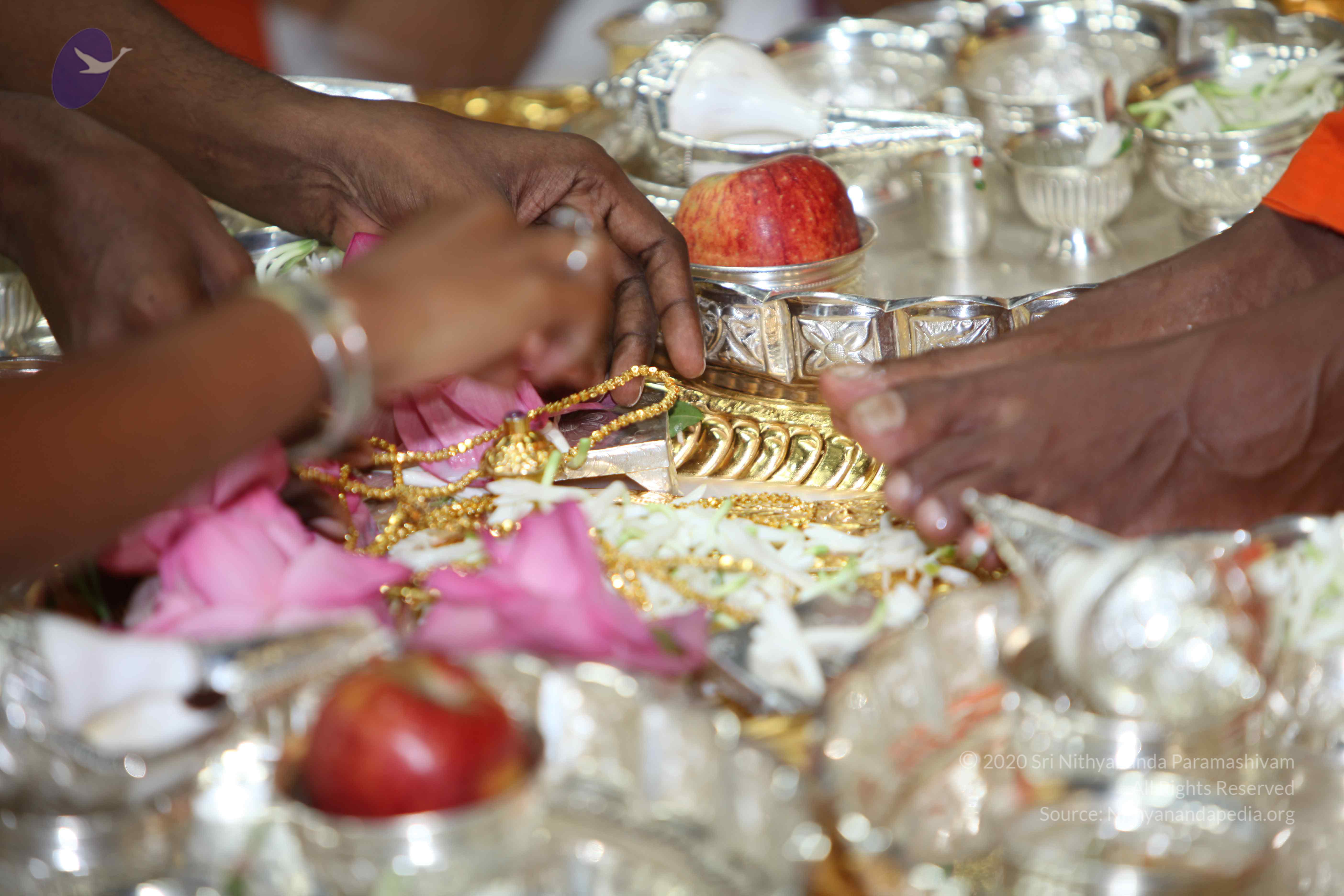 20101019_Photo_1004_IMG_2630_CMP_WM