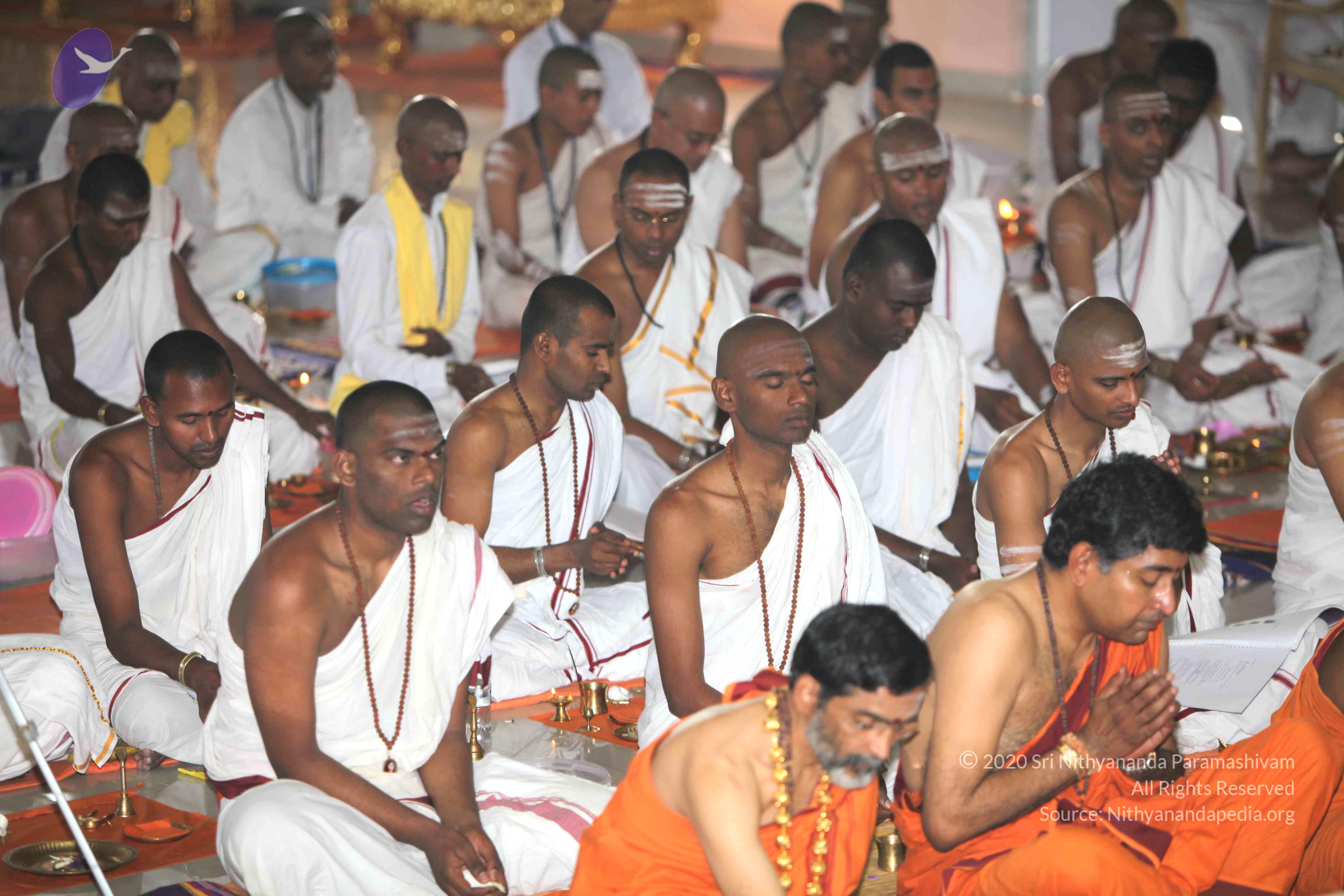 20101019_Photo_1007_IMG_2665_CMP_WM