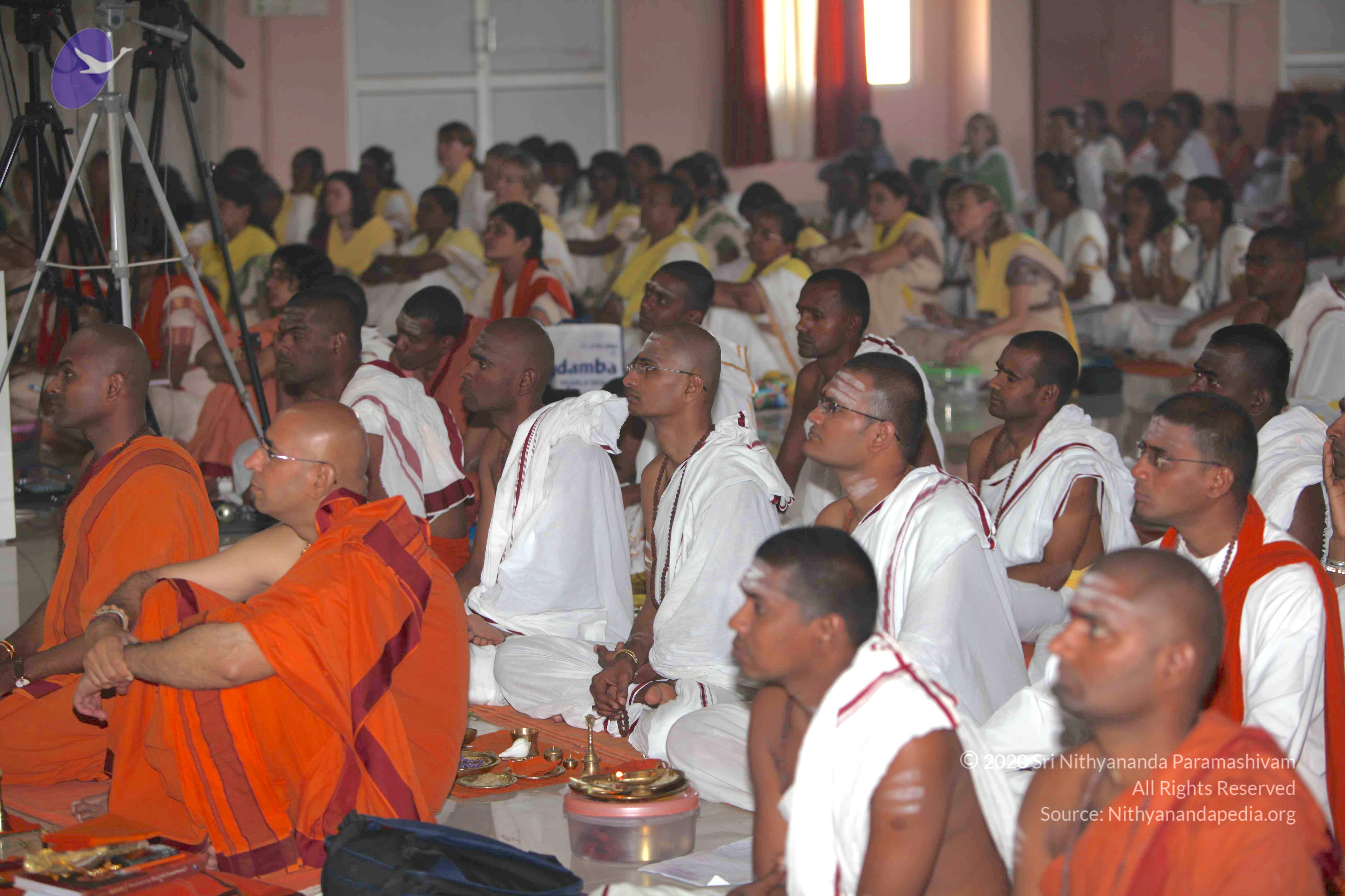 20101019_Photo_1015_IMG_2783_CMP_WM