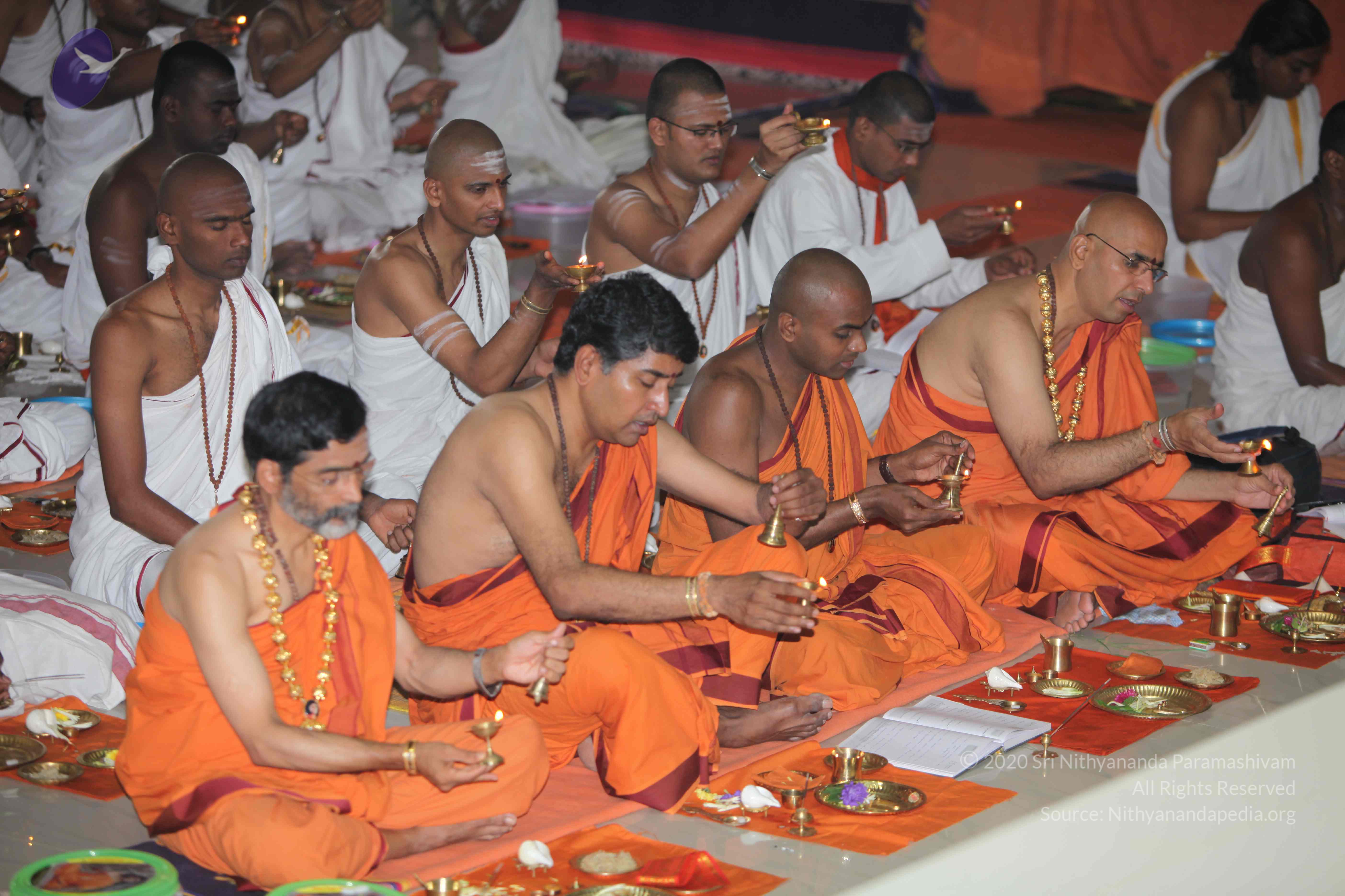 20101019_Photo_1035_IMG_2657_CMP_WM