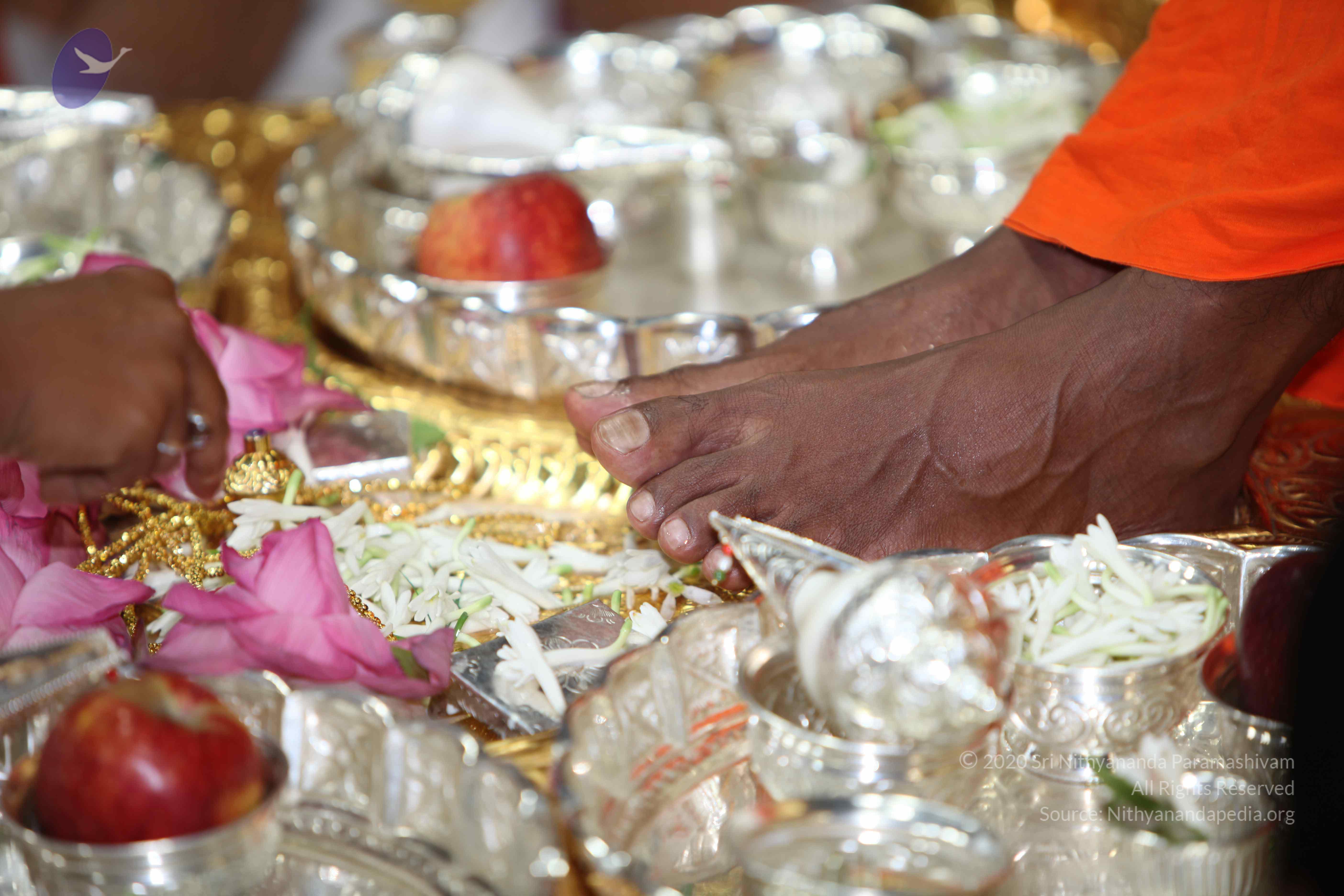 20101019_Photo_1038_IMG_2632_CMP_WM