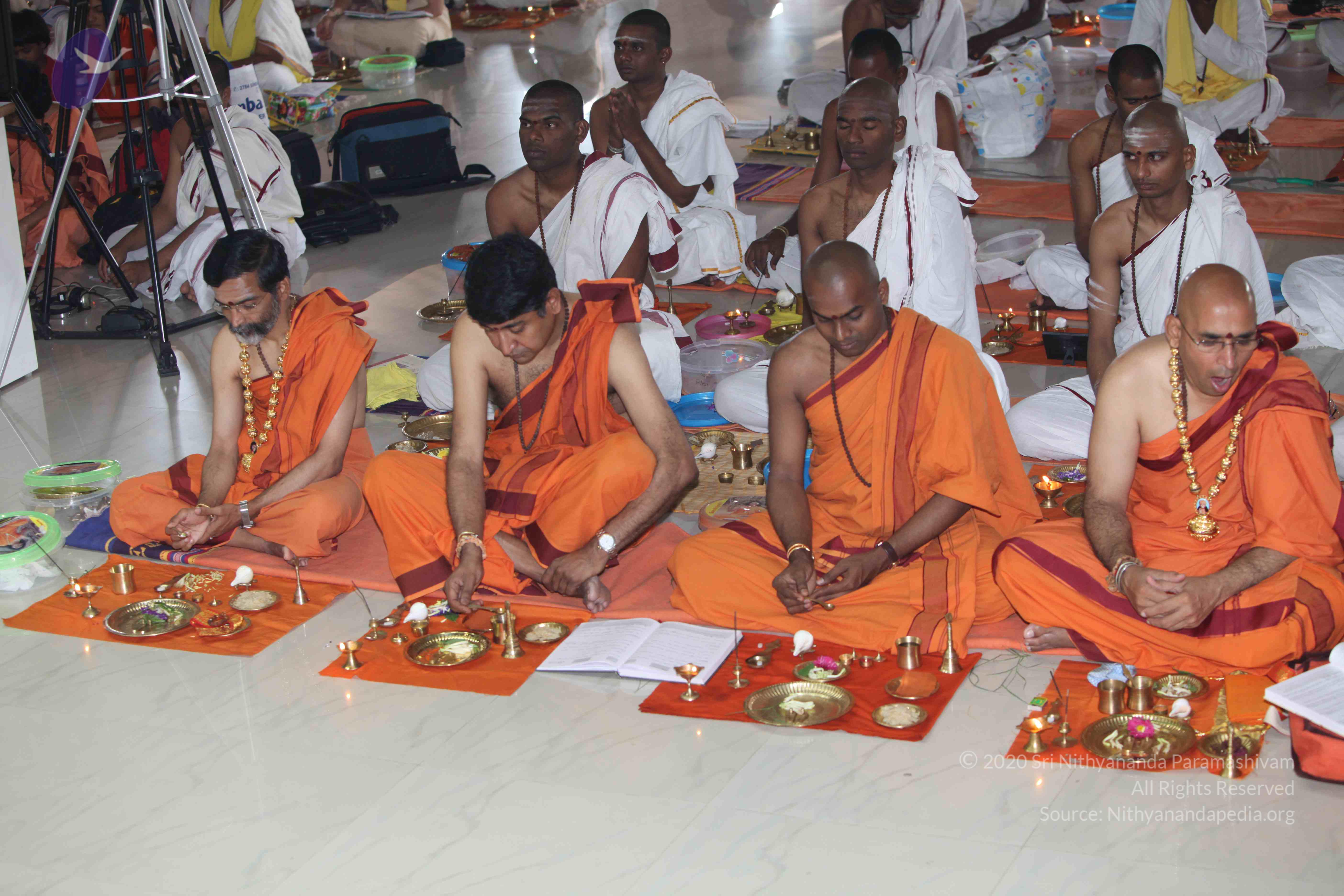 20101019_Photo_1042_IMG_2593_CMP_WM