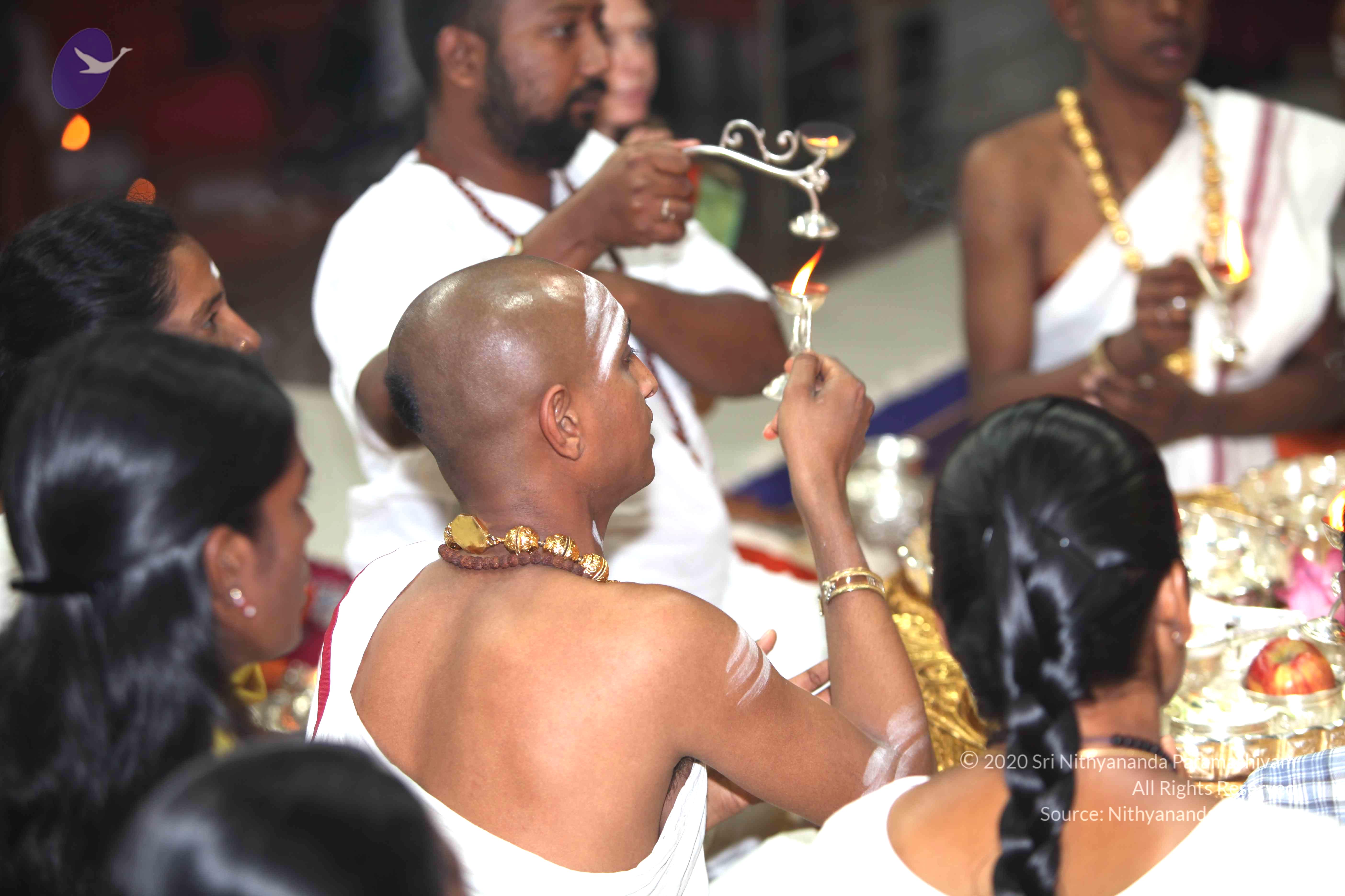 20101019_Photo_1045_IMG_2695_CMP_WM