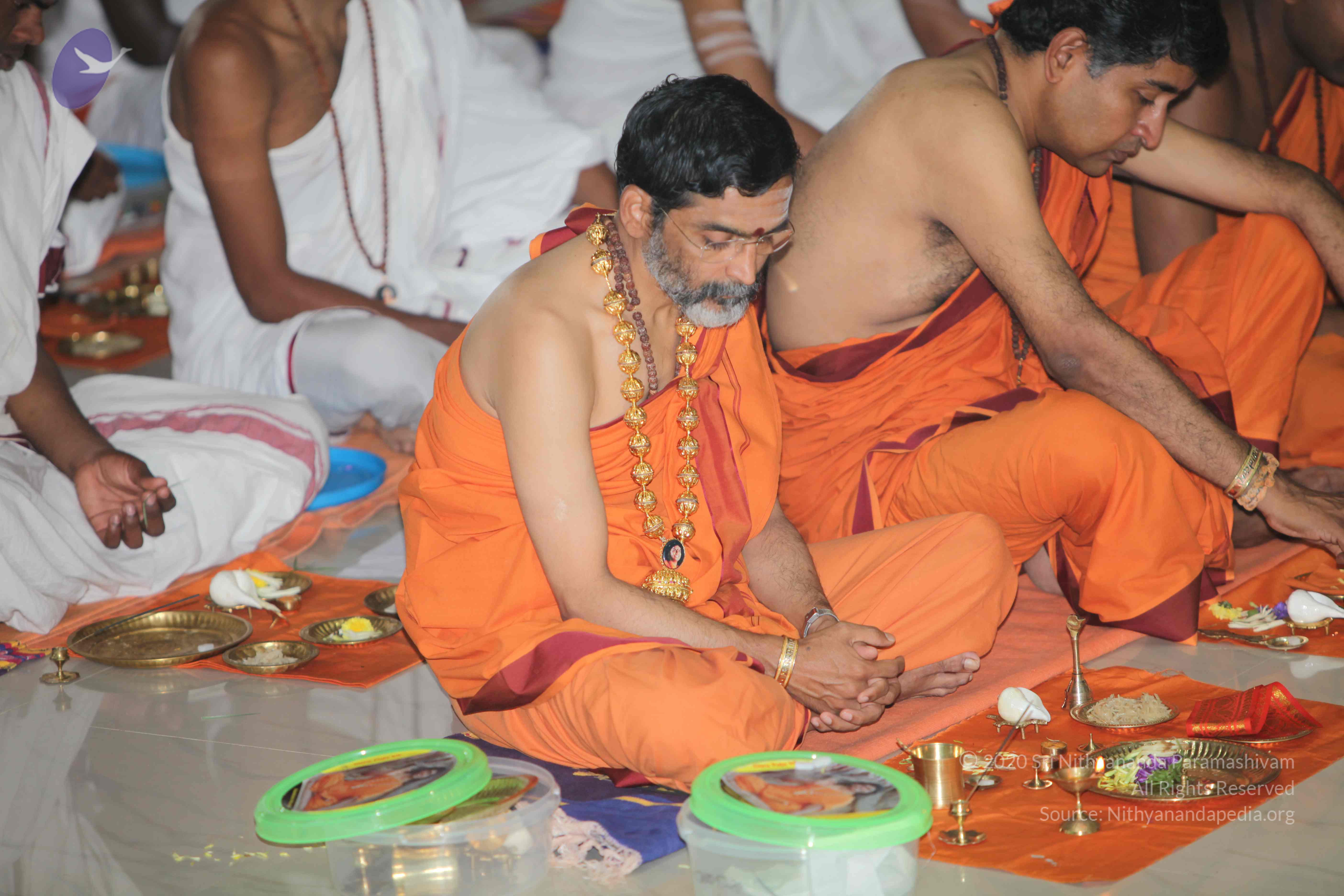 20101019_Photo_1050_IMG_2641_CMP_WM