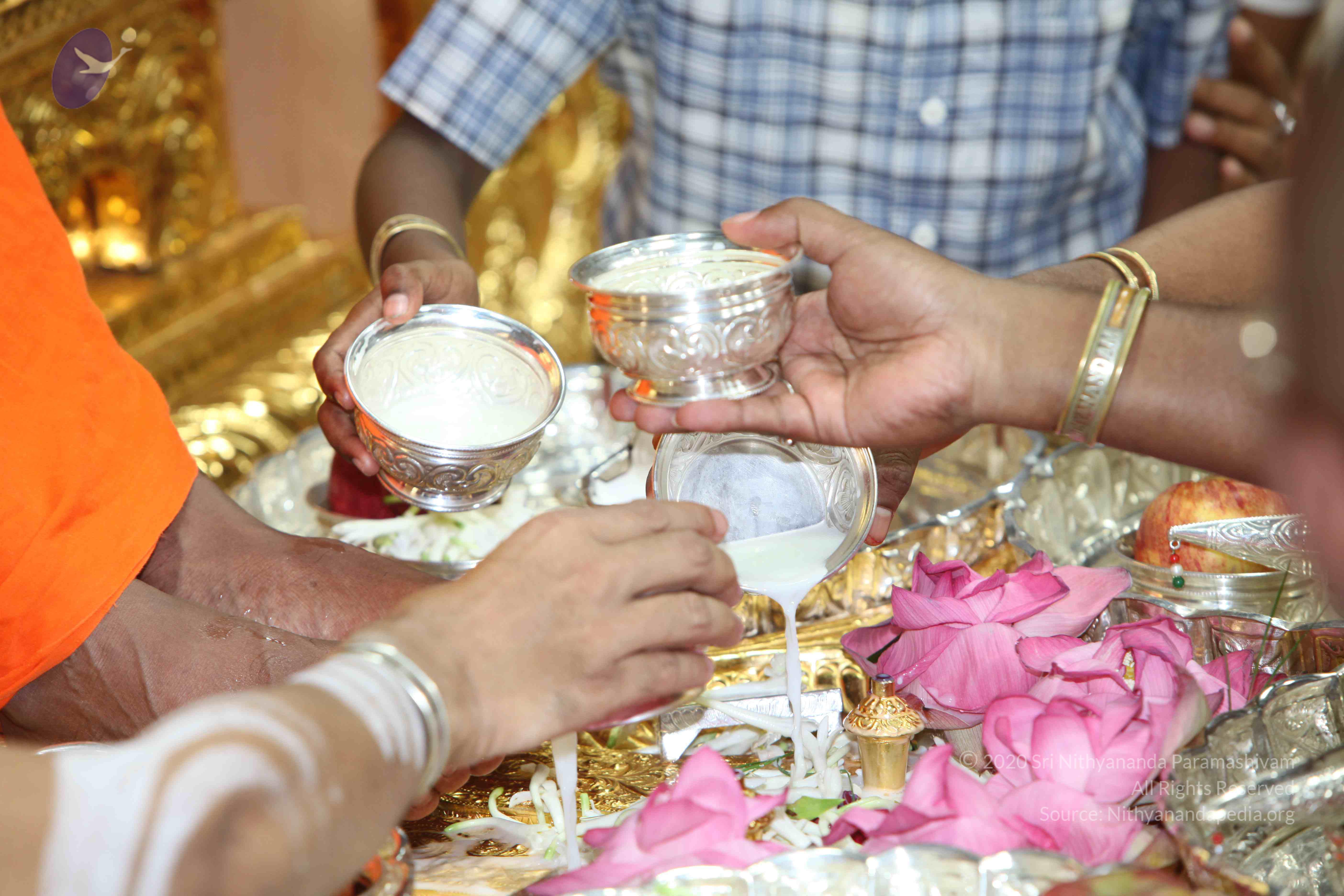 20101019_Photo_1053_IMG_2614_CMP_WM