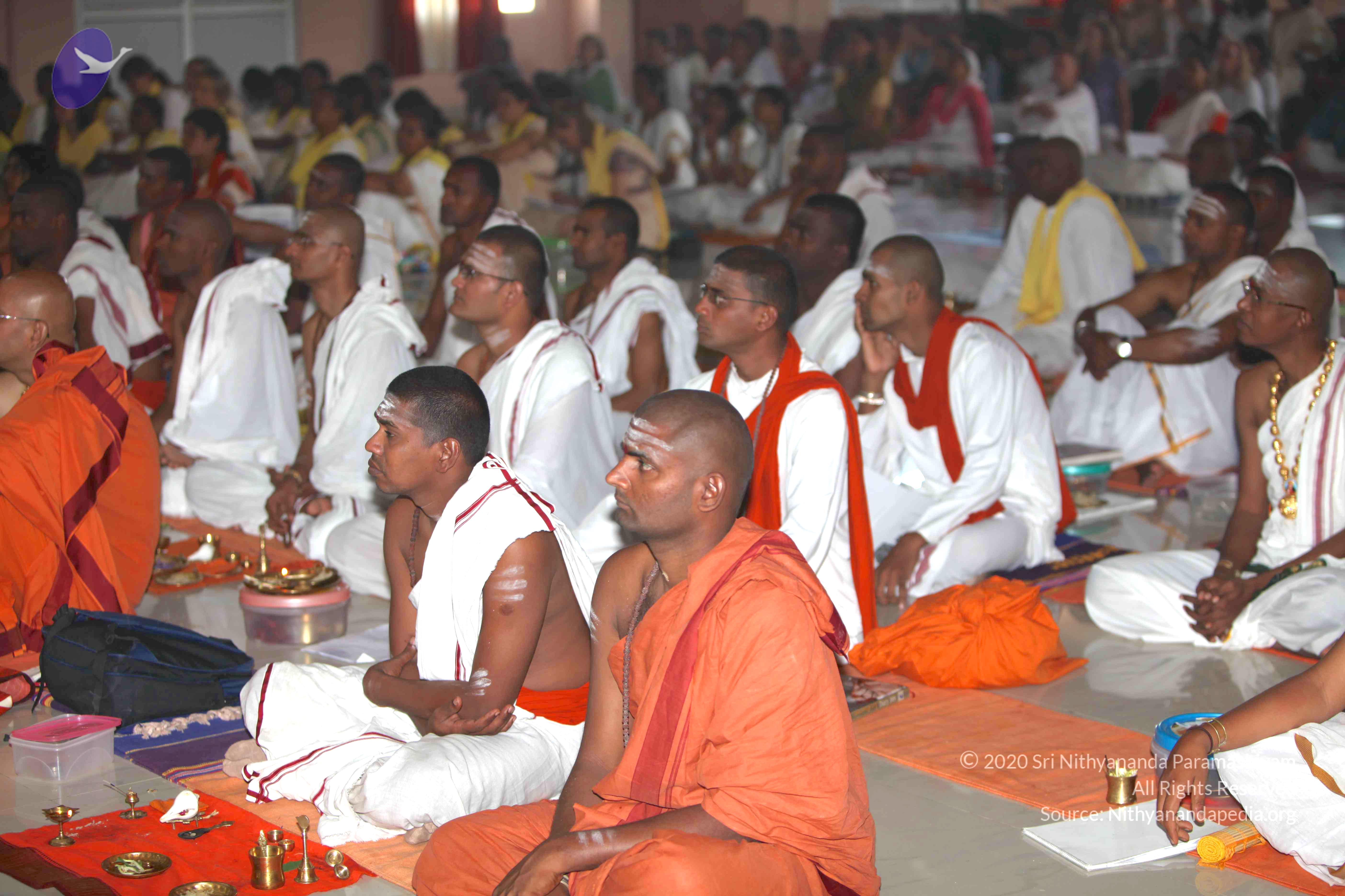 20101019_Photo_1056_IMG_2784_CMP_WM