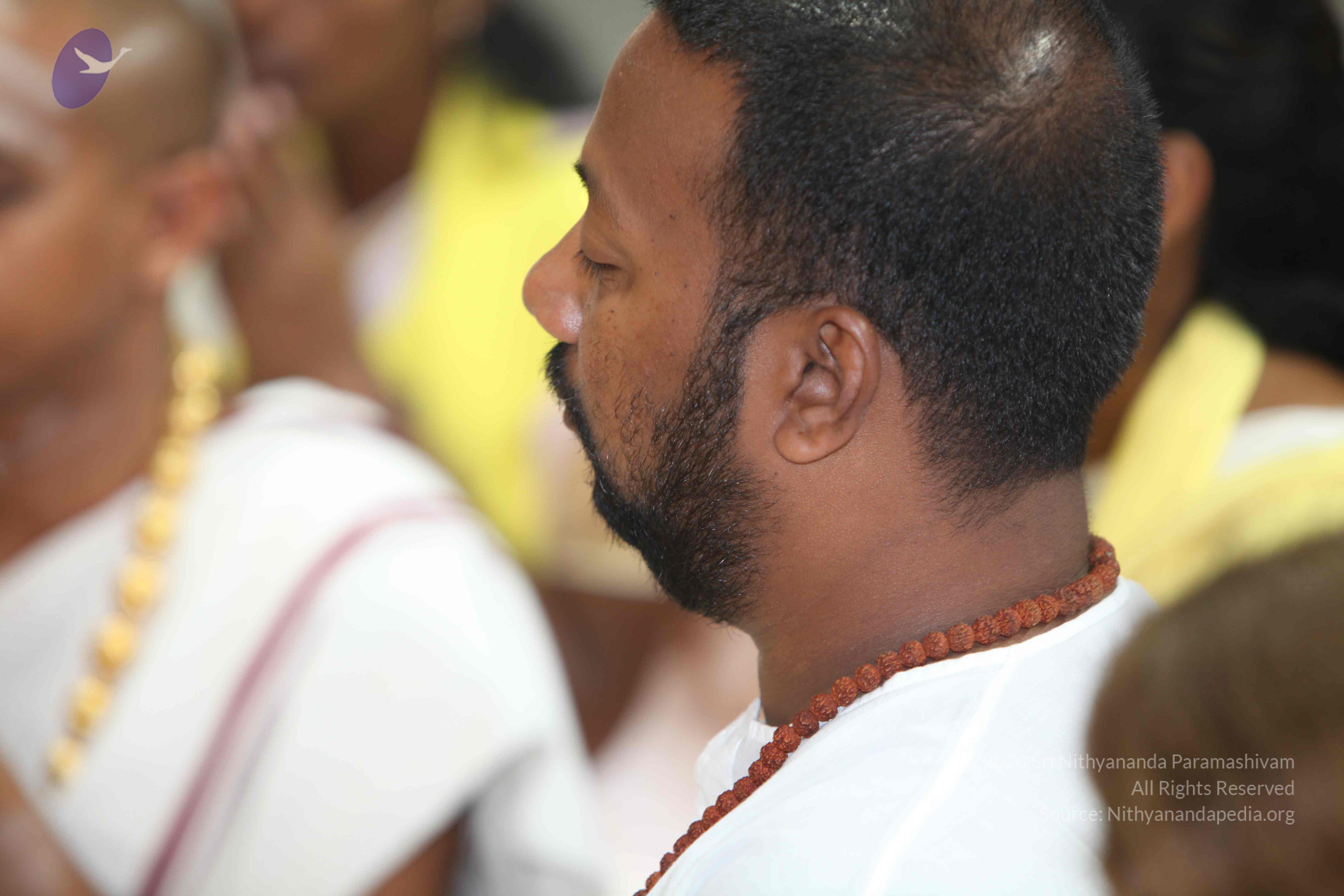 20101019_Photo_1062_IMG_2611_CMP_WM