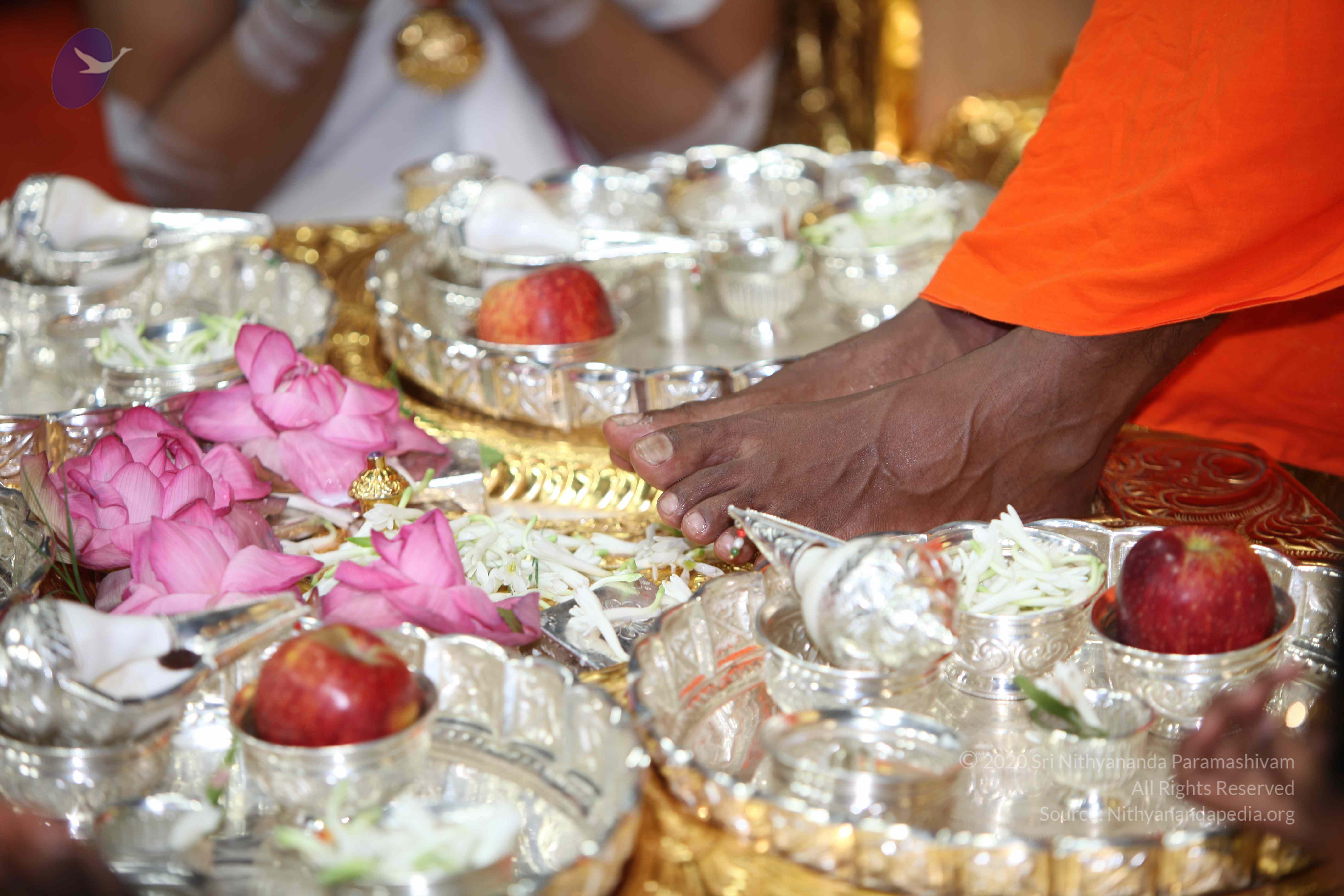 20101019_Photo_1063_IMG_2626_CMP_WM